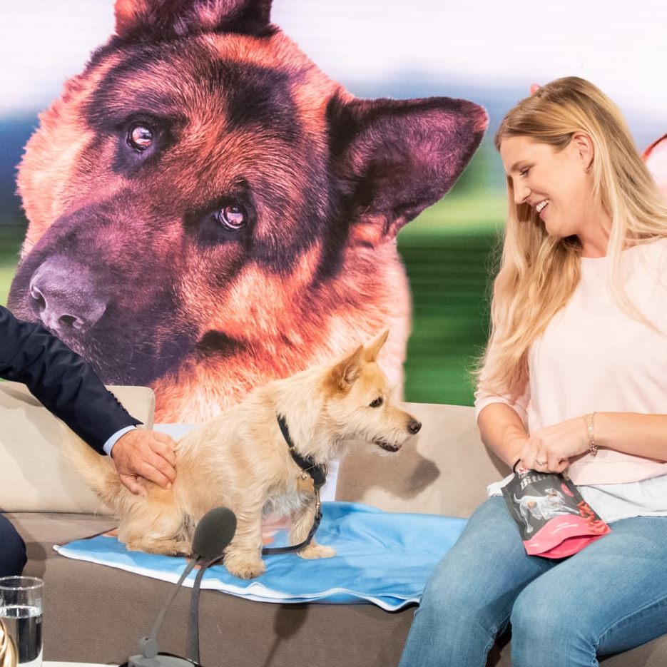 Gewinner des Vorjahres: Hermann Aigner, Geschäftsführer Fressnapf Österreich, überreicht dem tierischen Held James und seiner Besitzerin Felicitas Bedynek den „Goldenen Fressnapf 2021“.