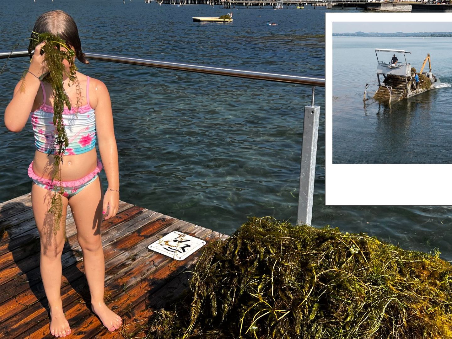 Kinder haben im Strandbad Seegras entfernt.