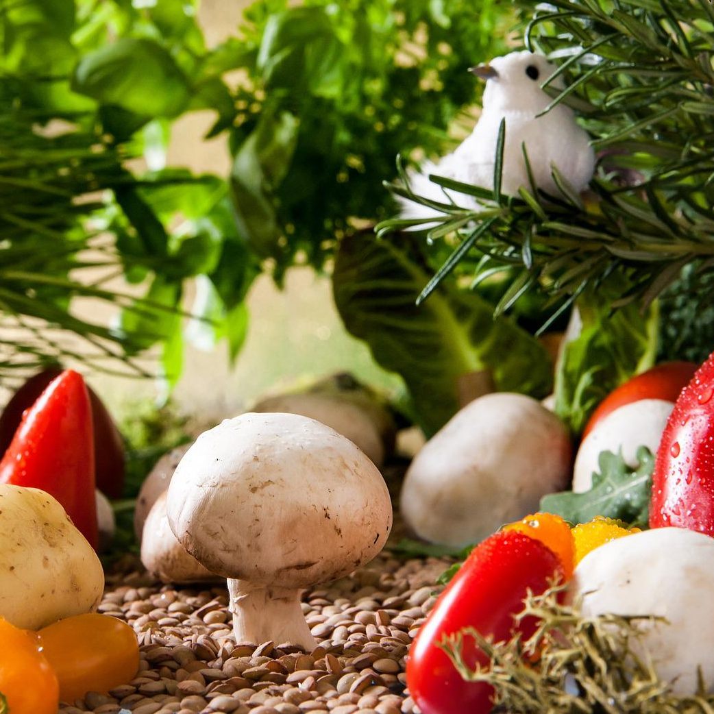 Bio-Lebensmittel sind nicht so stark von der Teuerung betroffen.