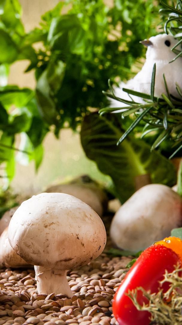 Bio-Lebensmittel sind nicht so stark von der Teuerung betroffen.