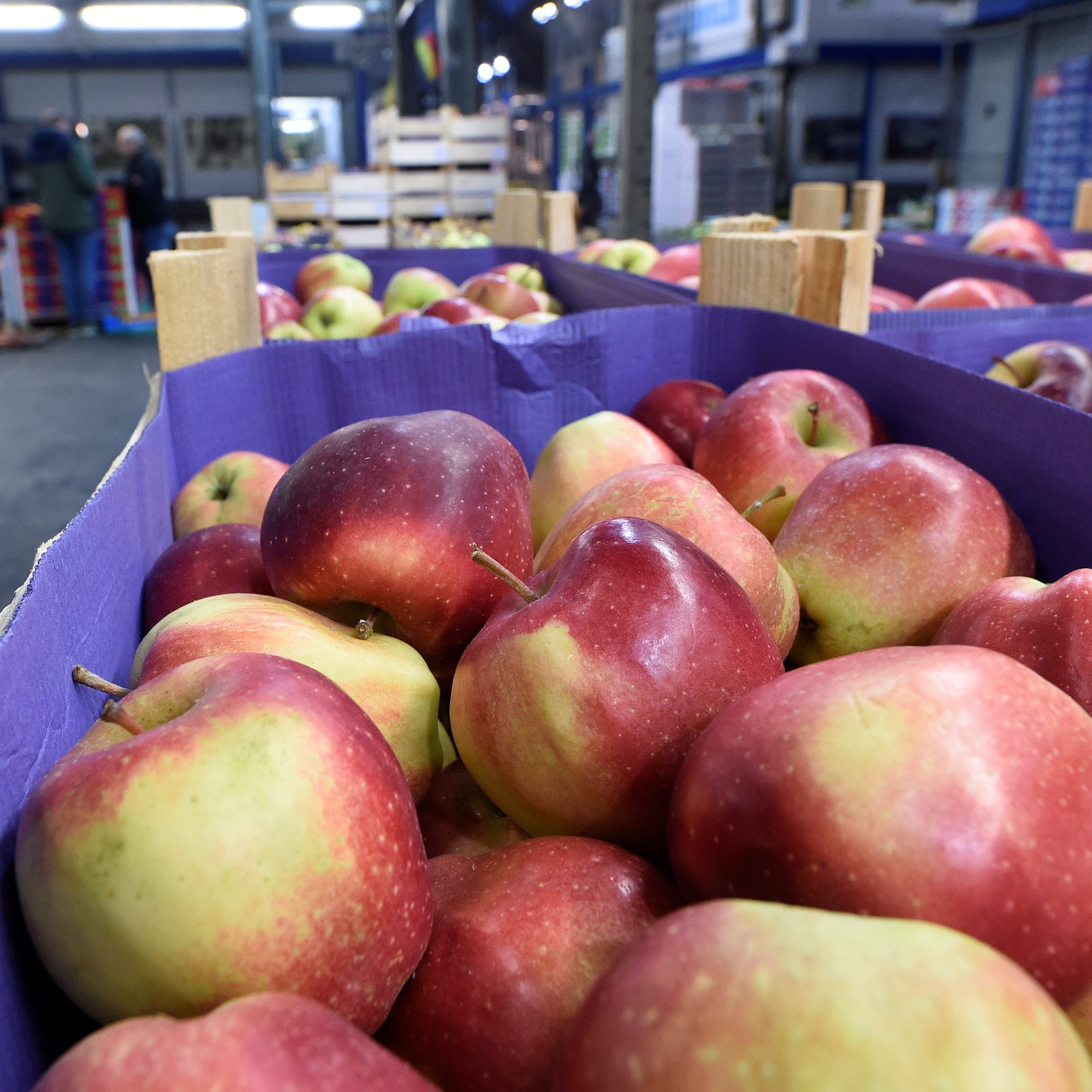 Die Großhandelspreise sind im Juli um 22,8 Prozent teuerer als 2021.