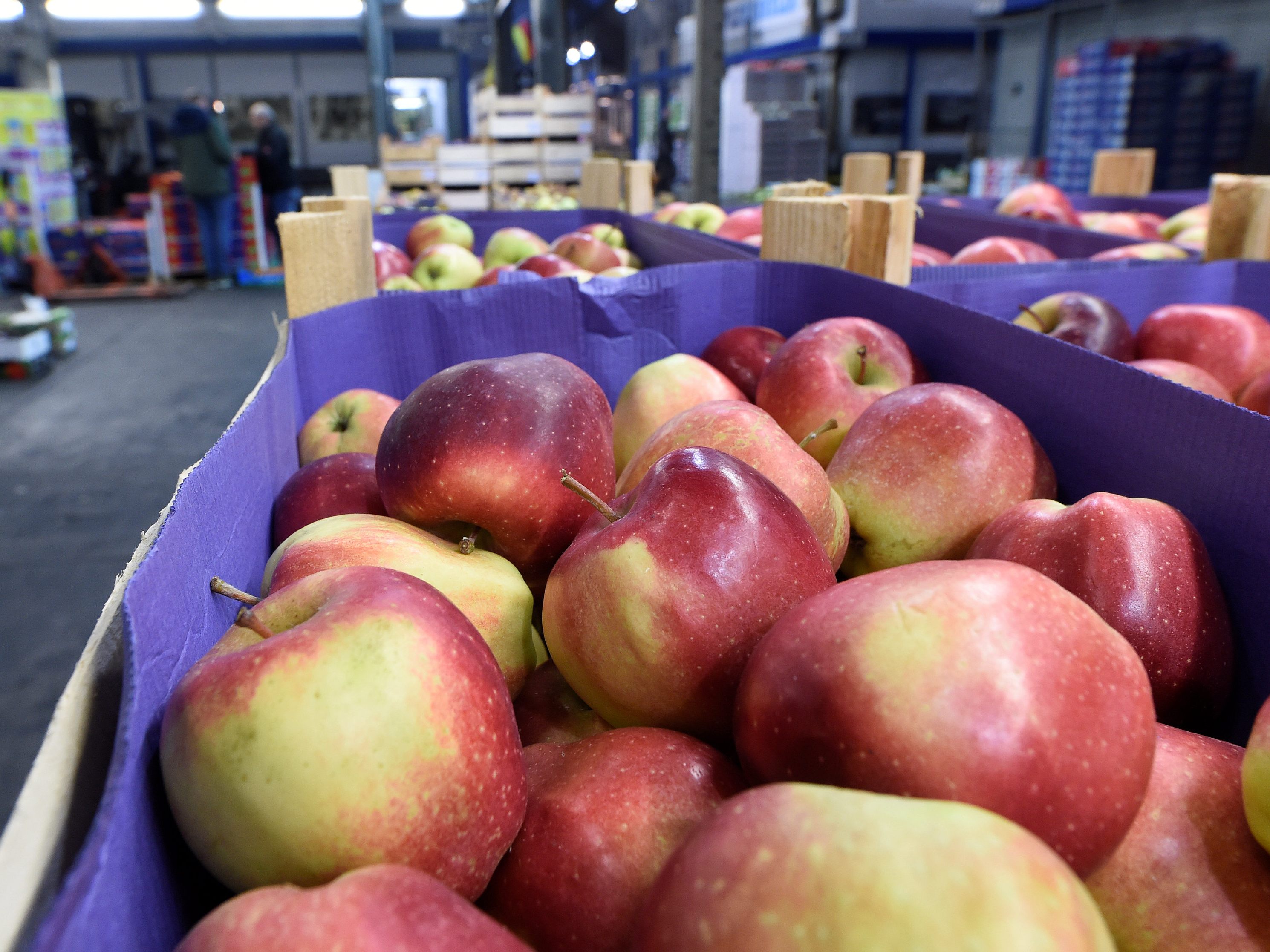 Die Großhandelspreise sind im Juli um 22,8 Prozent teuerer als 2021.