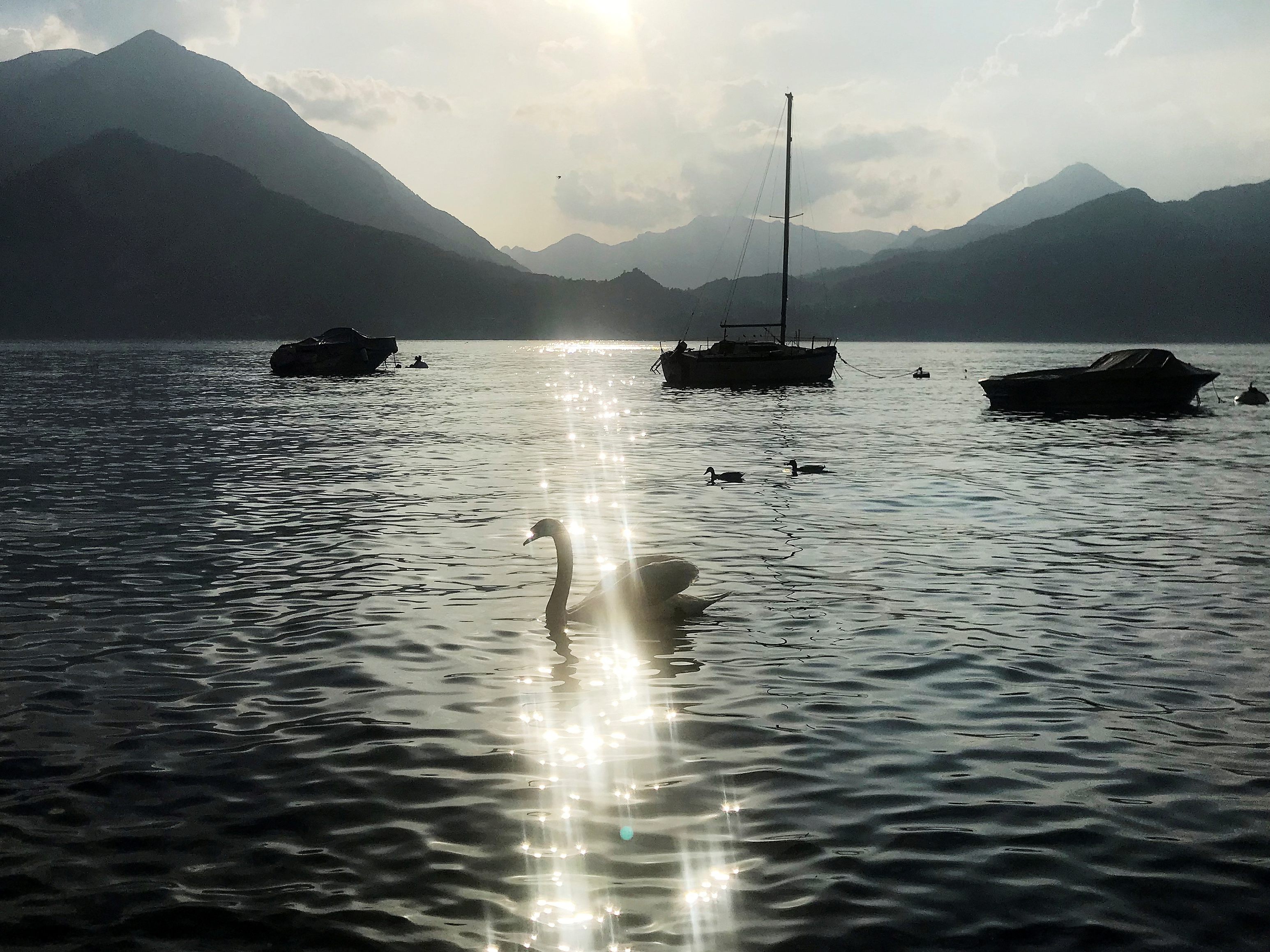 Das Bild zeigt den Comer See im Jahr 2018. Das Bild zeigt den Comer See im Jahr 2018.