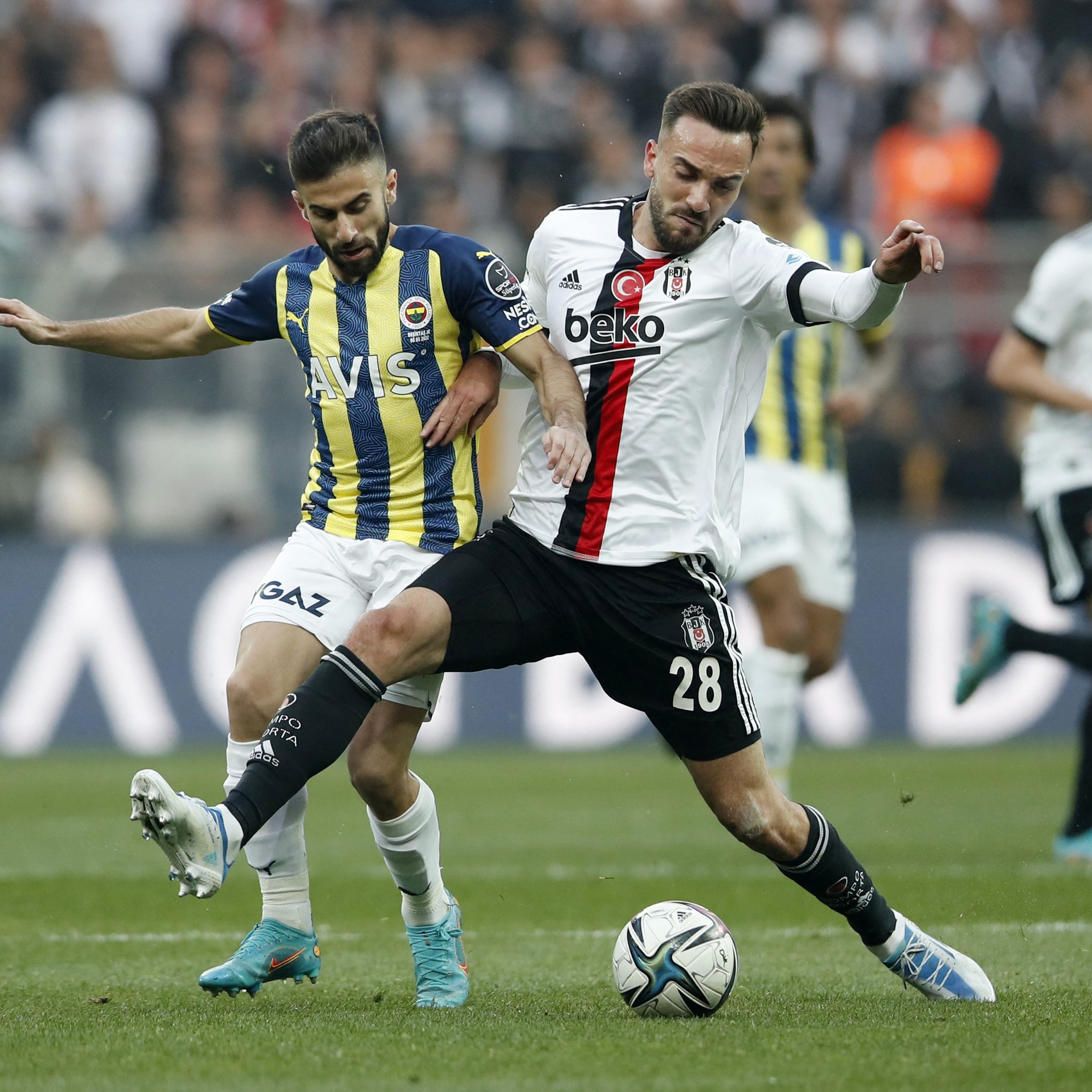 Fenerbahce wird wohl der nächste Austria Wien-Gegner sein.