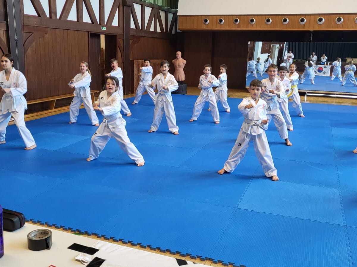 Taekwondo-Training