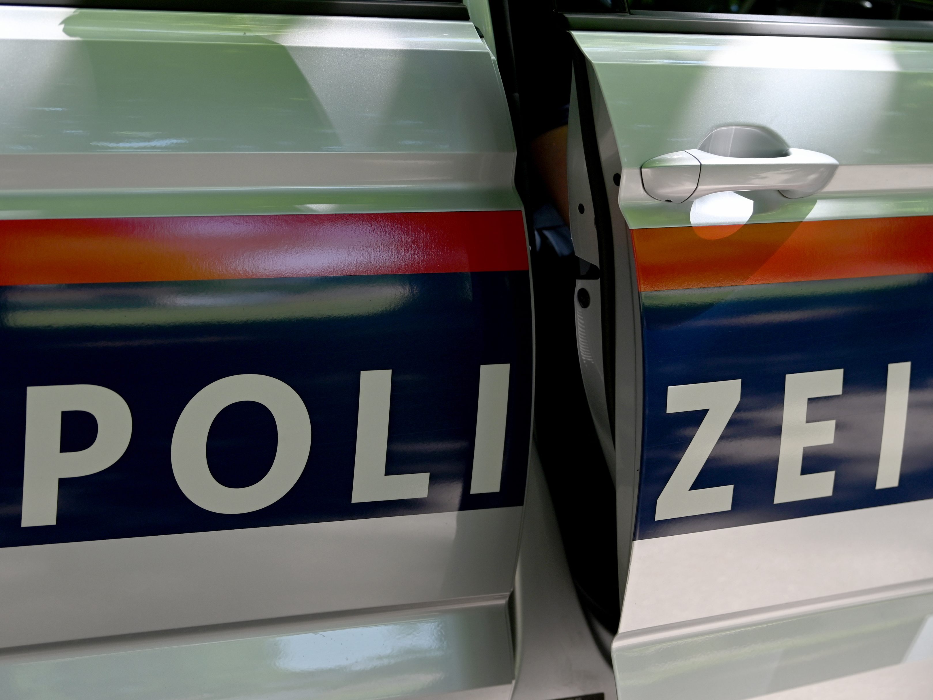 Die Wiener Polizei hat zwei Graffiti-Sprayer auf frischer Tat ertappt. Die Wiener Polizei hat zwei Graffiti-Sprayer auf frischer Tat ertappt.