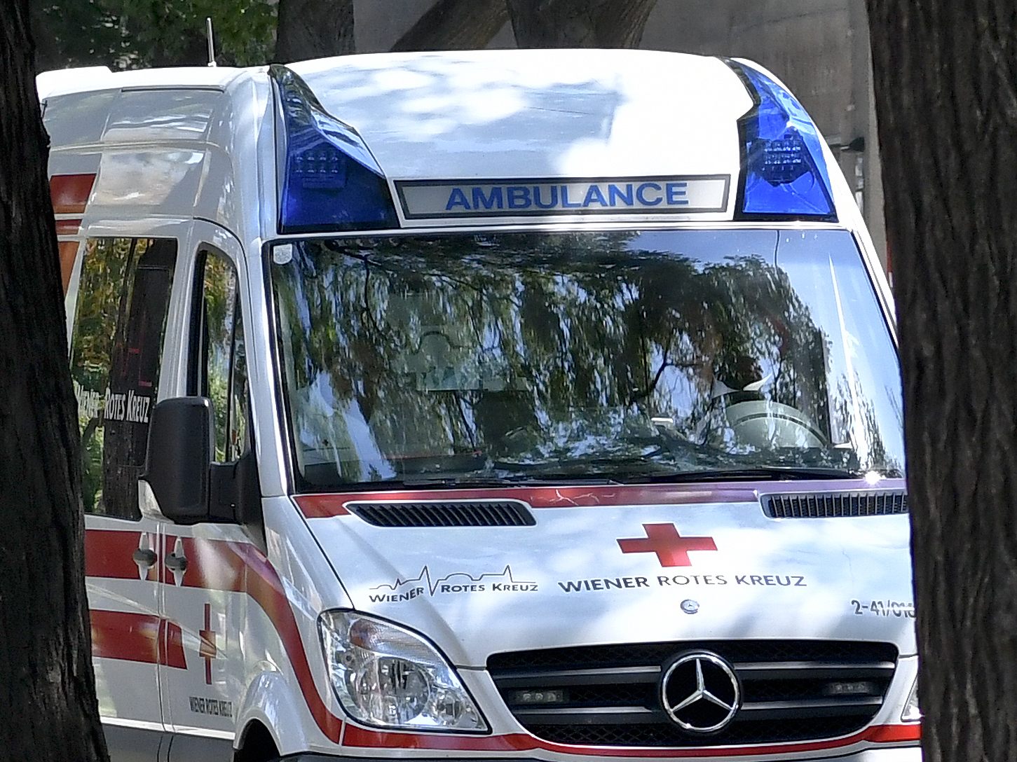 Für einen 73-jährigen Fußgägner kam nach einem Verkehrsunfall jede Hilfe zu spät. Für einen 73-jährigen Fußgägner kam nach einem Verkehrsunfall jede Hilfe zu spät.