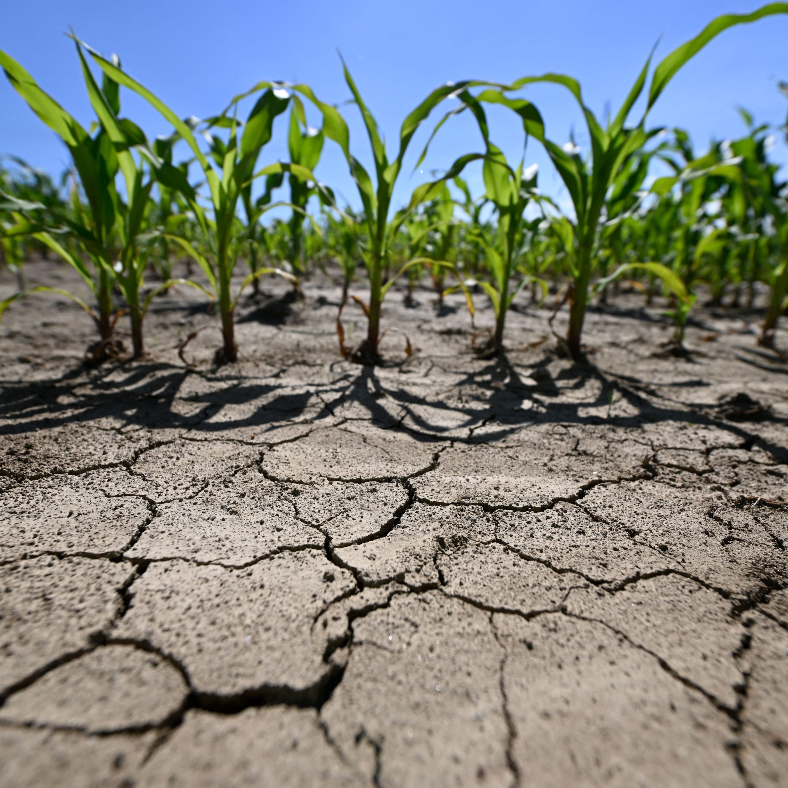 Forscher raten derzeit zum Energiesparen in Österreich.