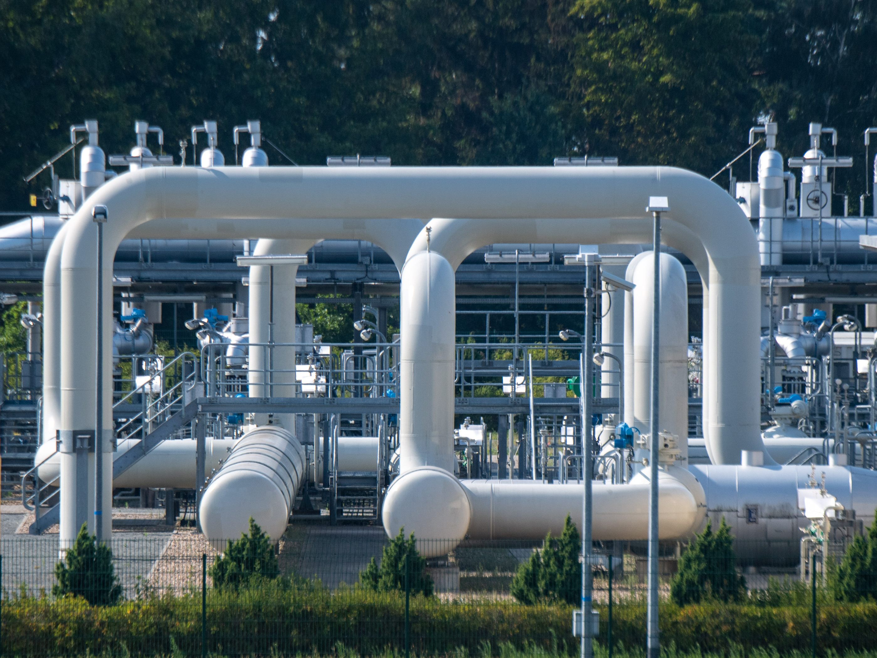 Deutschland muss wegen der Gaskrise mehr Gas sparen als jedes andere EU-Land. Deutschland muss wegen der Gaskrise mehr Gas sparen als jedes andere EU-Land.
