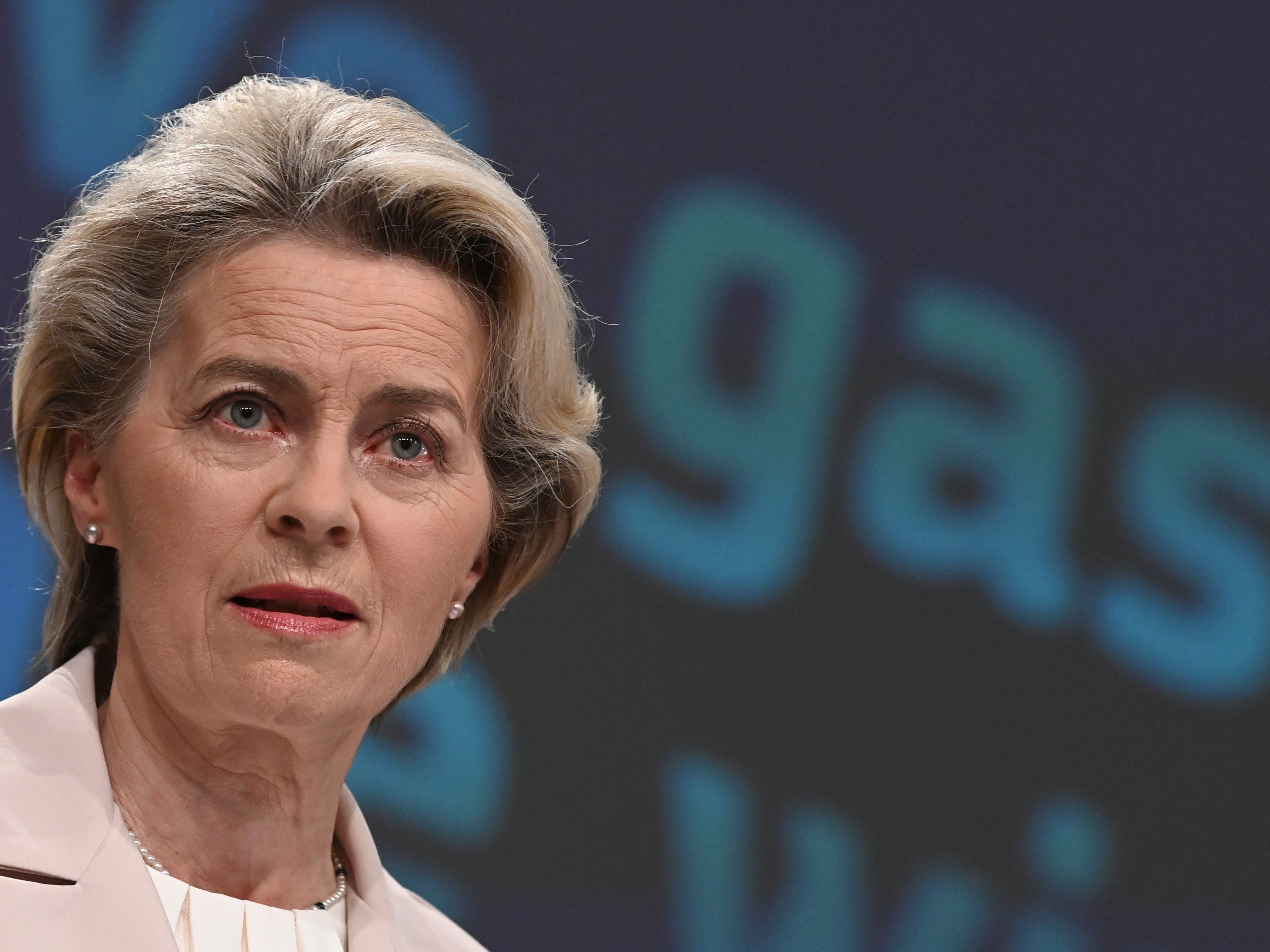 EU-Chefin Ursula von der Leyen.