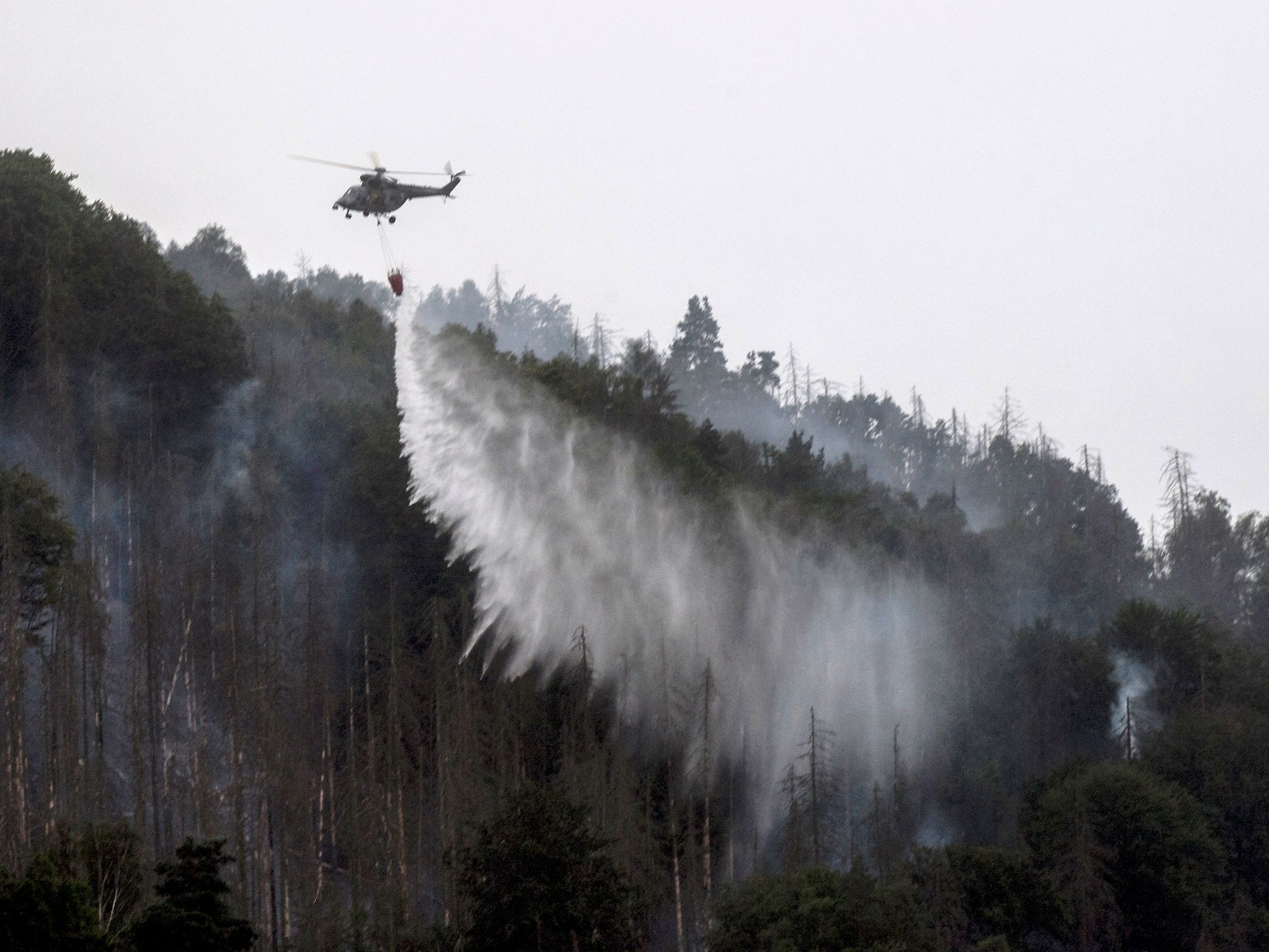 Waldbrand in Tschechien - rund 900 Feuerwehrleute im Einsatz. Waldbrand in Tschechien - rund 900 Feuerwehrleute im Einsatz.