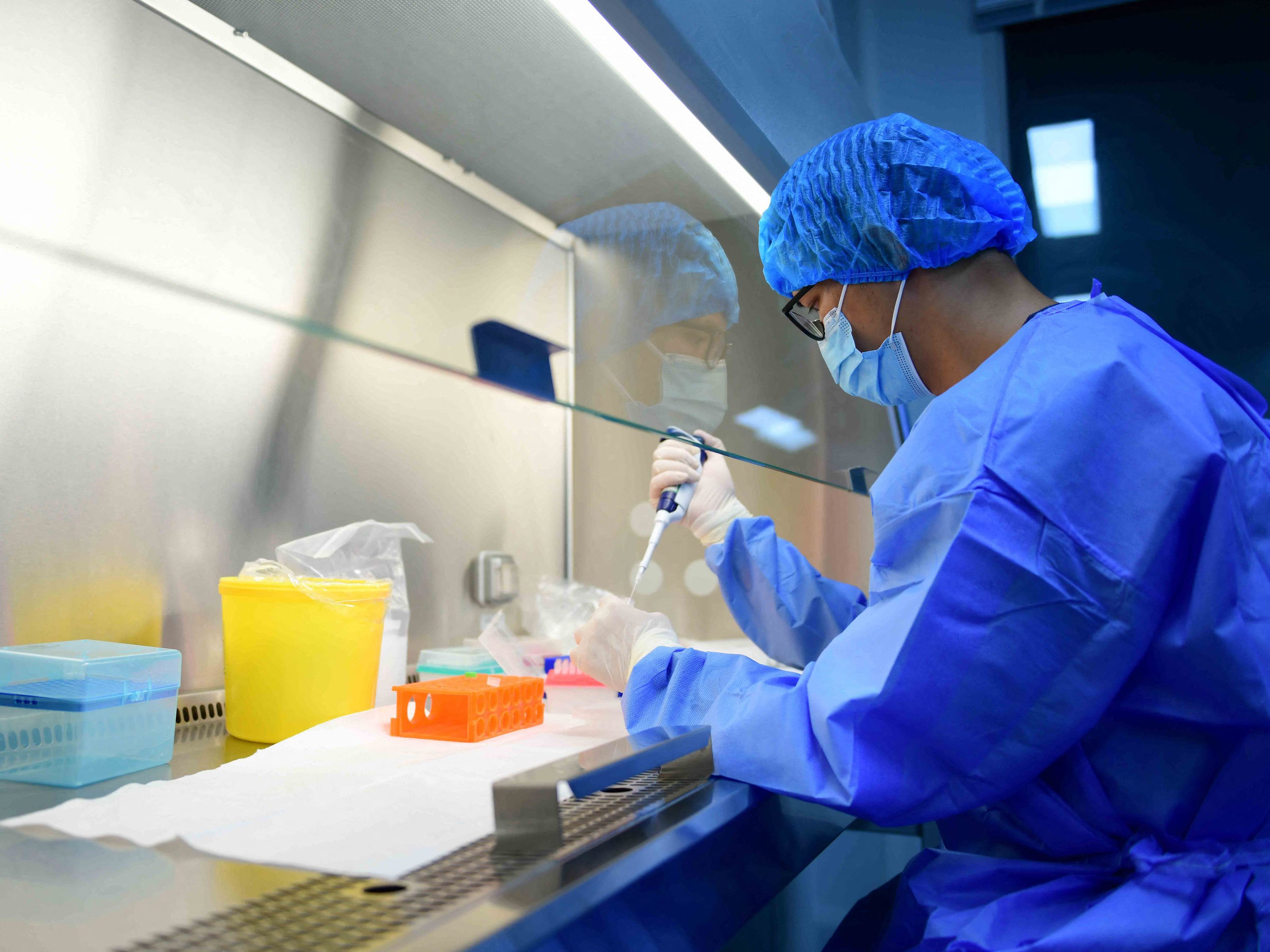 Forscher entdeckten in China ein neues Virus. Forscher entdeckten in China ein neues Virus.