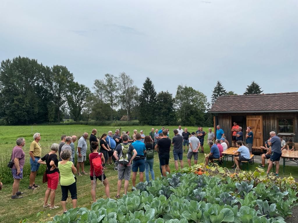 Sommerschnittkurs