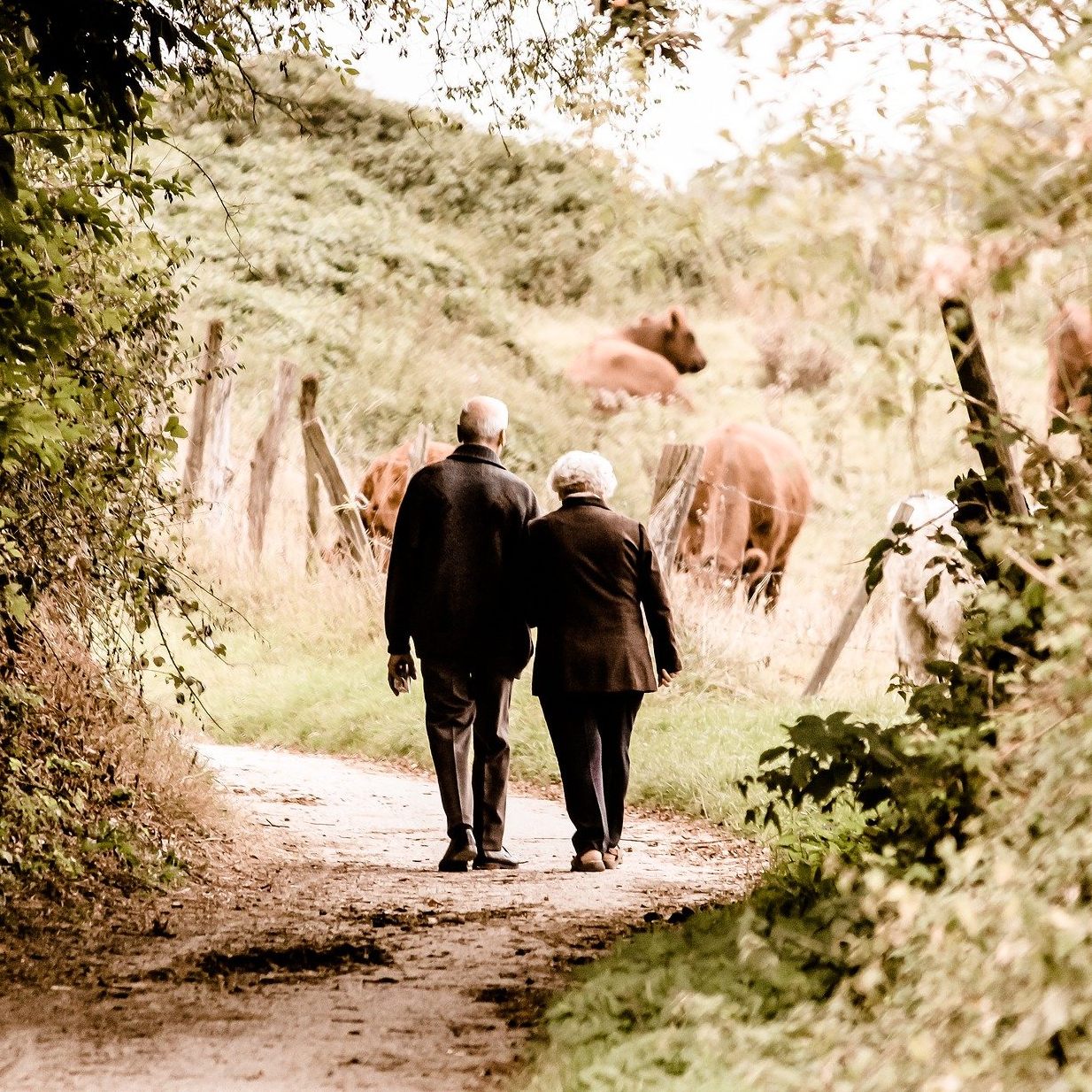 Eine Stunde gehen pro Woche verlängert das Leben von über 85-Jährigen.