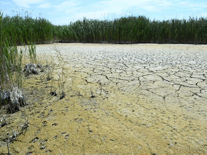 Trotz Klimakrise heißt es weiter warten auf ein neues Klimaschutzgesetz. Trotz Klimakrise heißt es weiter warten auf ein neues Klimaschutzgesetz.