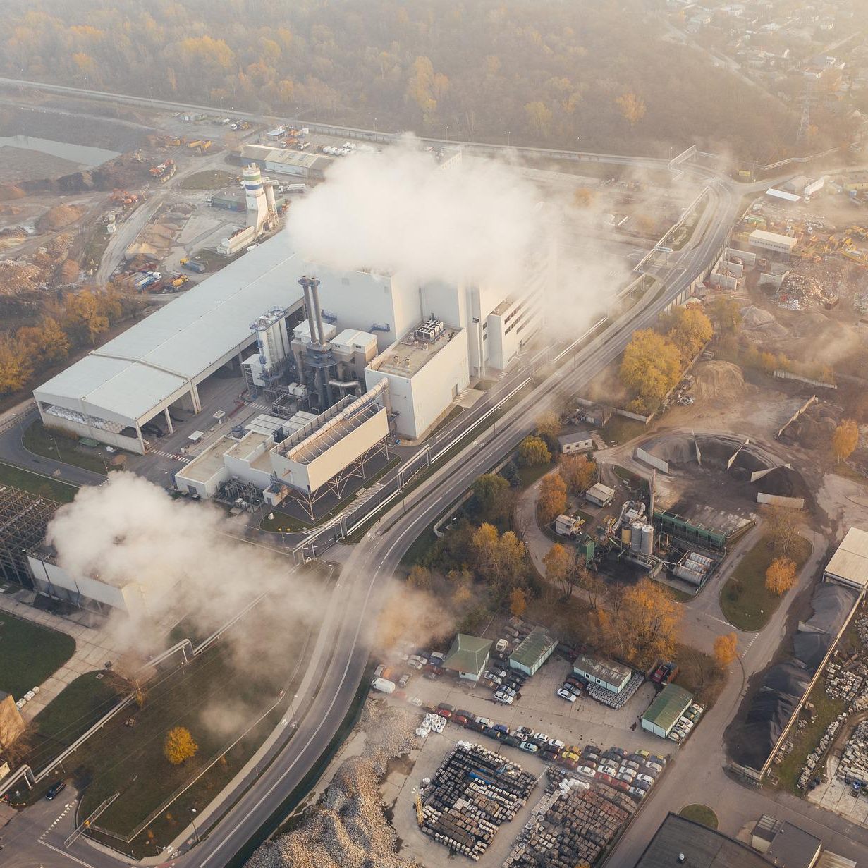 Experten erklären, dass die Möglichkeit besteht, dass der Klimawandel im schlimmsten Fall das Ende der Menschheit bedeuten könnte.