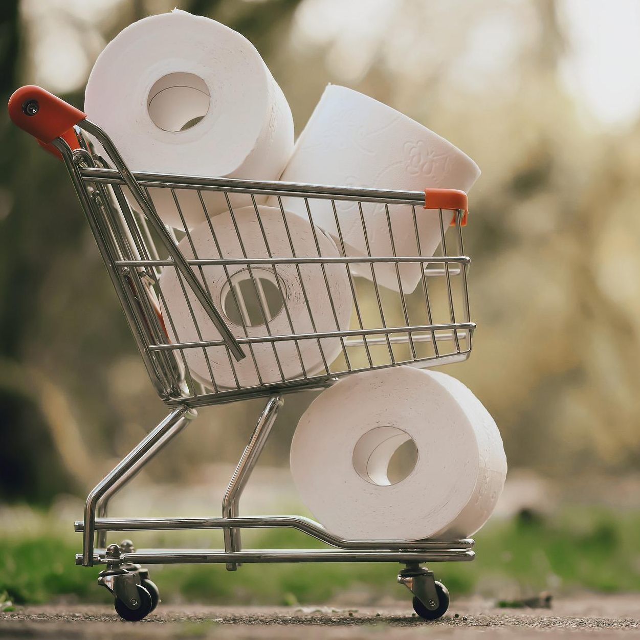 Auch Toilettenpapier und Taschentücher sind laut dem AK-Check teurer geworden.