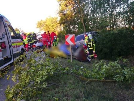 Sonntagfrüh wurden bei einem Unfall mit einem Schlepperfahrzeug elf Personen verletzt. Sonntagfrüh wurden bei einem Unfall mit einem Schlepperfahrzeug elf Personen verletzt.
