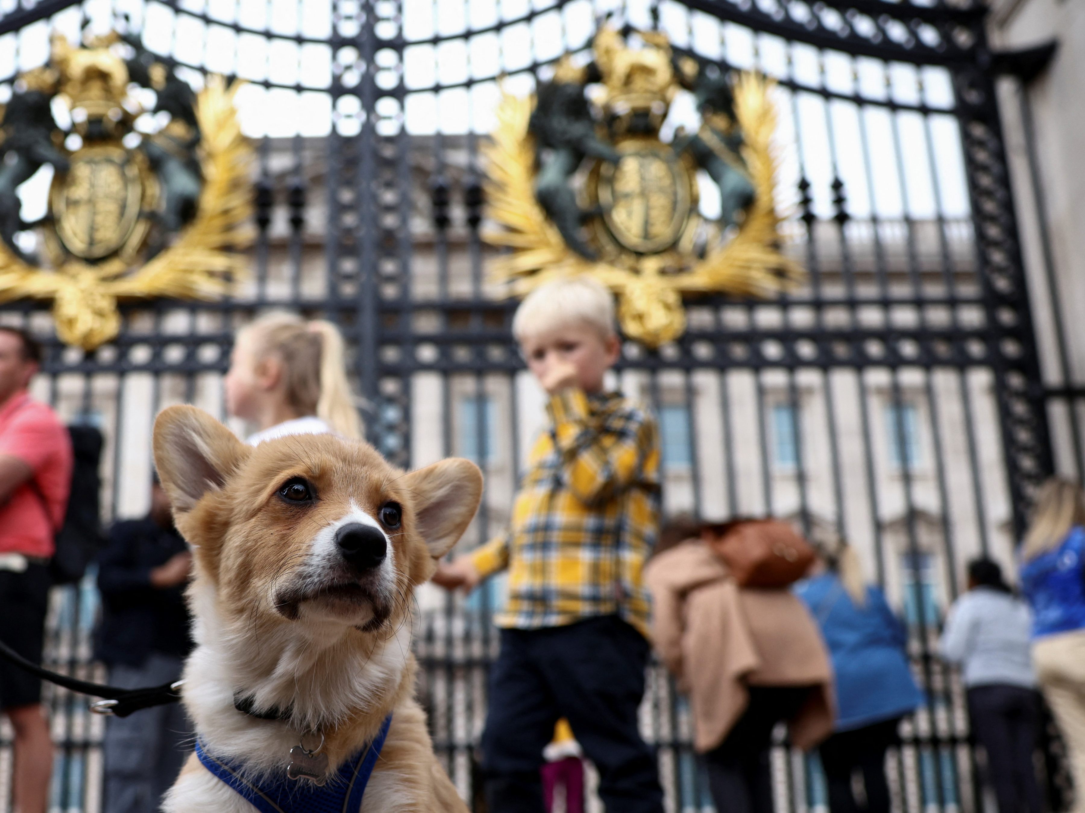 Der Zugang für Trauernde zum Buckingham-Palast in London wurden am Sonntag eingeschränkt. Der Zugang für Trauernde zum Buckingham-Palast in London wurden am Sonntag eingeschränkt.