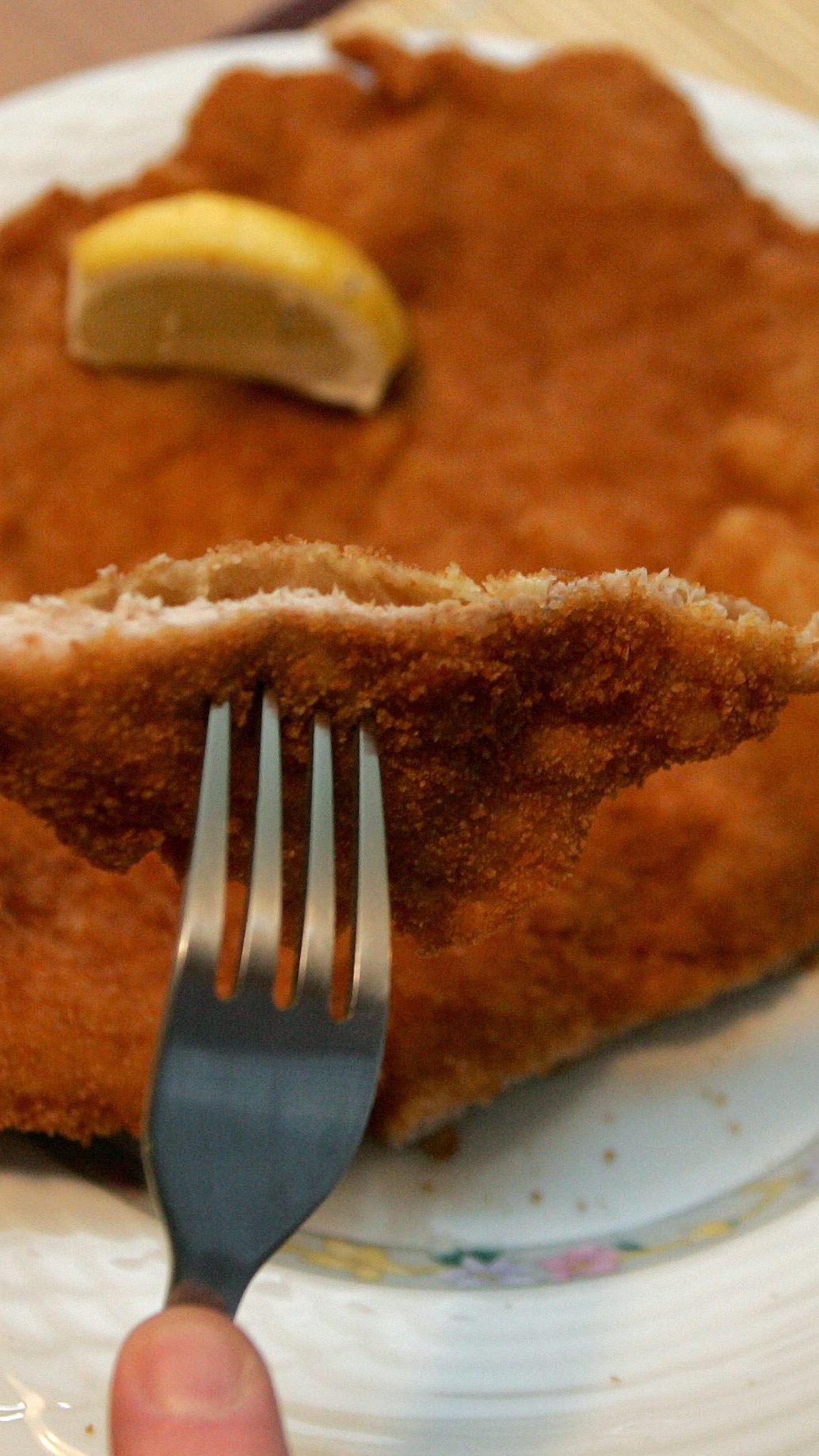 Neuen von 13 Wiener Lokalen im Schnitzel-Check sind wenig transparent bei der Kennzeichnung der Herkunft der tierischen Zutaten für ihr Wiener Schnitzel.