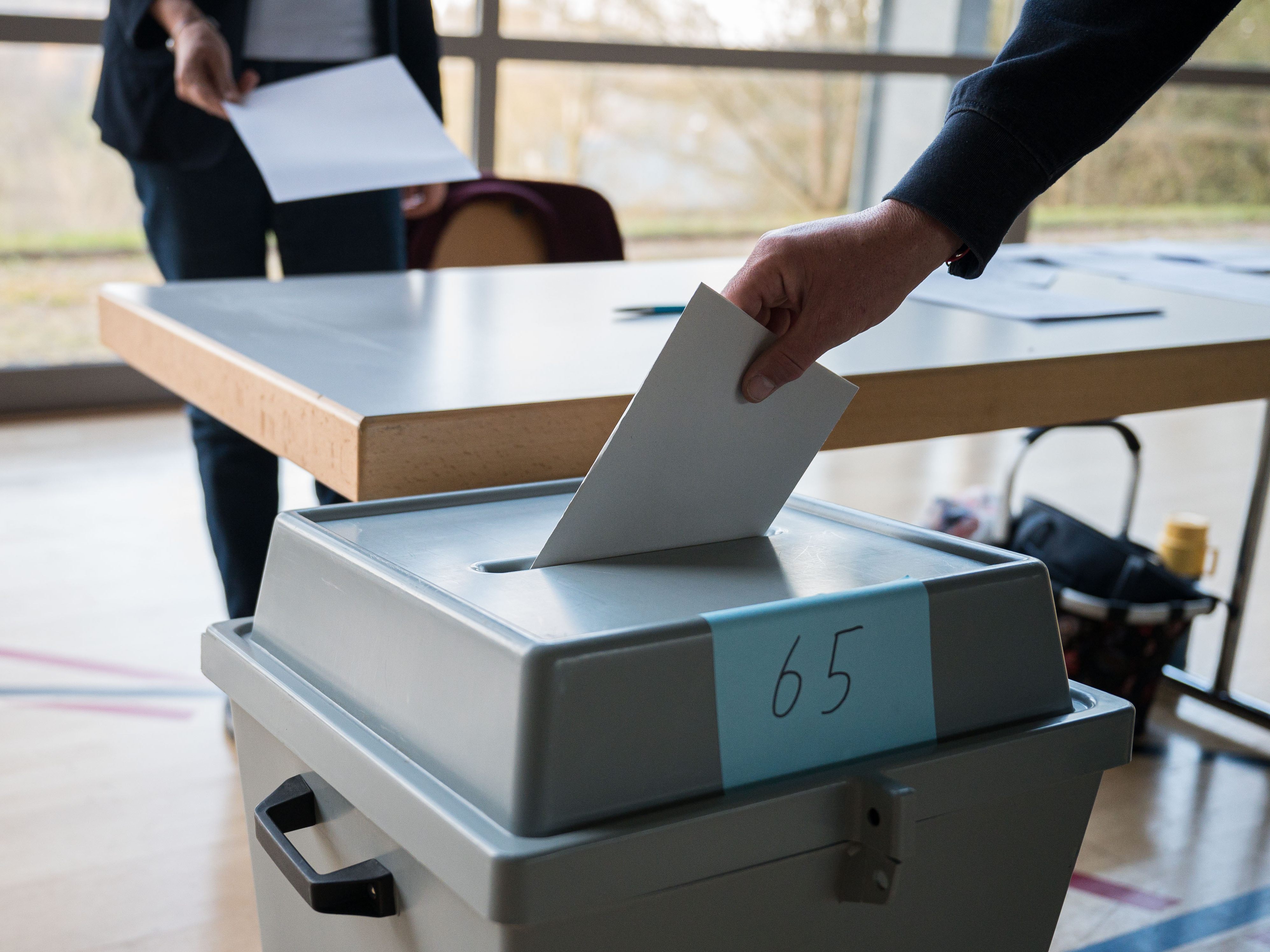 Was man zur Bundespräsidentenwahl wissen muss: Alle Fragen und Antworten. Was man zur Bundespräsidentenwahl wissen muss: Alle Fragen und Antworten.