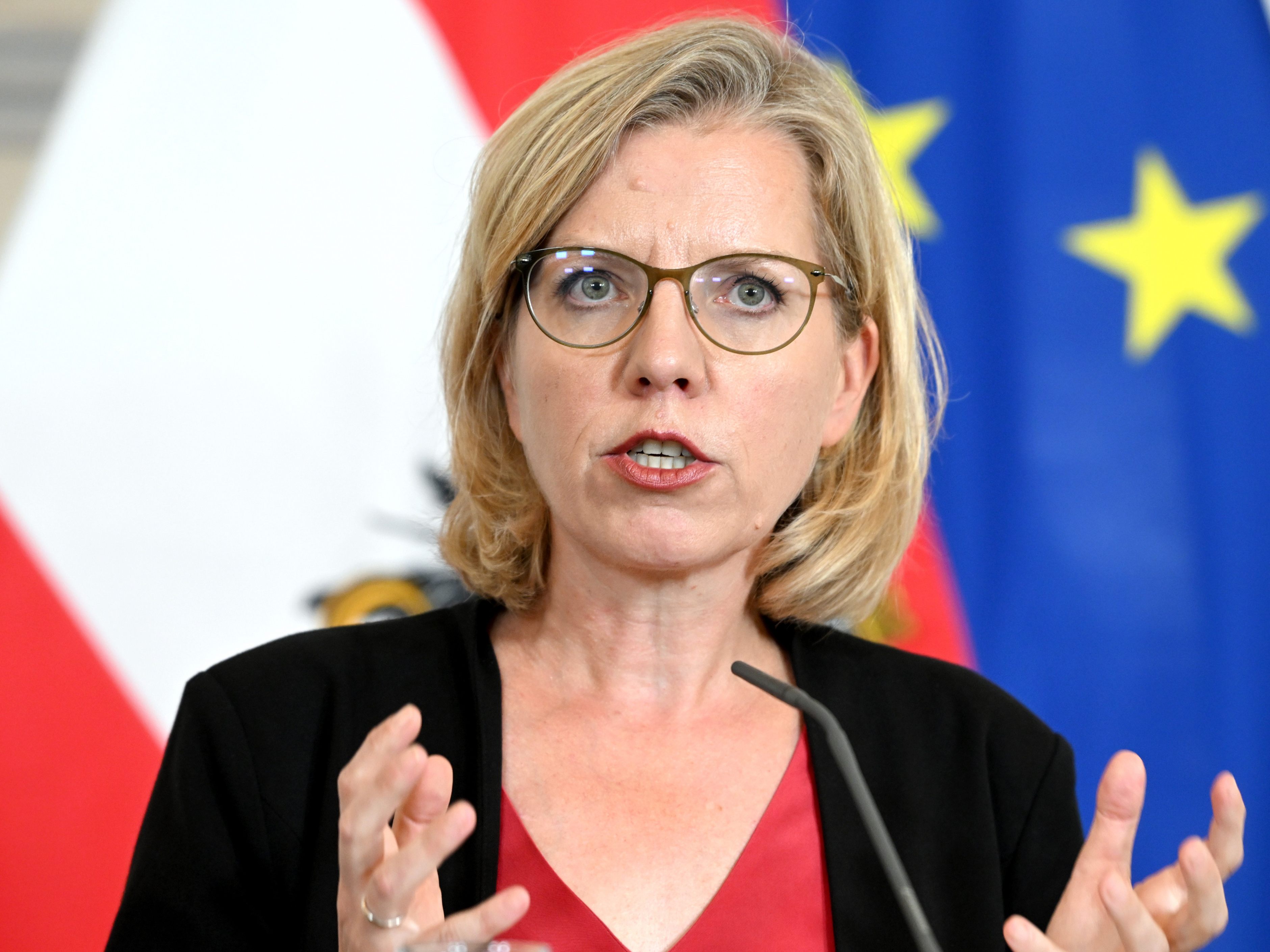 Energieministerin Leonore Gewessler ist gegen einen Preisdeckel für russisches Gas.