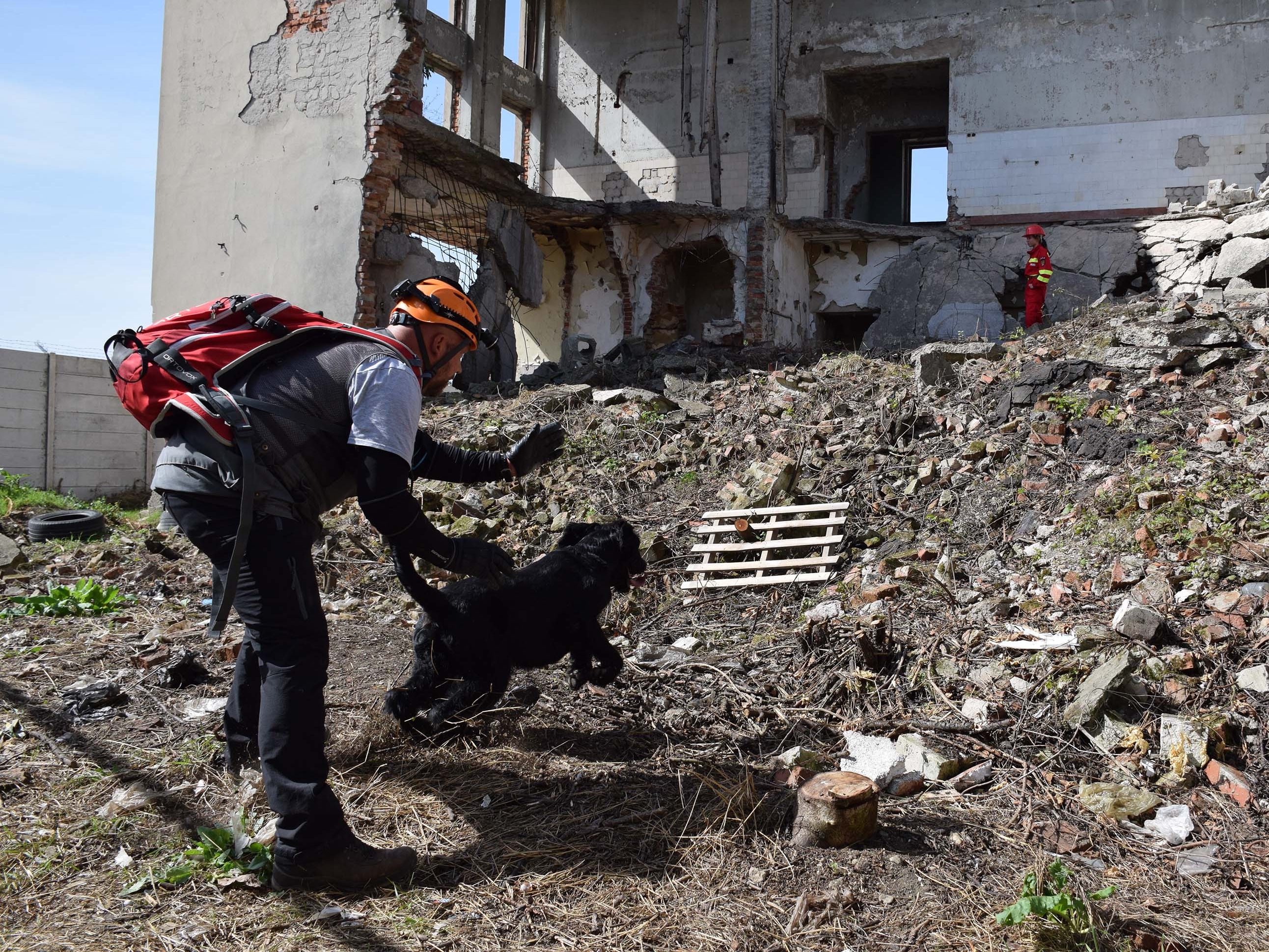 Bei der "Trümmersuche" holte sich Jörg Klapper mit dem Riesenschnauzer Cooper die Weltmeisterschaft, Andreas Hauk belegte mit Labrador Retriever Rocket Platz zwei. Bei der "Trümmersuche" holte sich Jörg Klapper mit dem Riesenschnauzer Cooper die Weltmeisterschaft, Andreas Hauk belegte mit Labrador Retriever Rocket Platz zwei.
