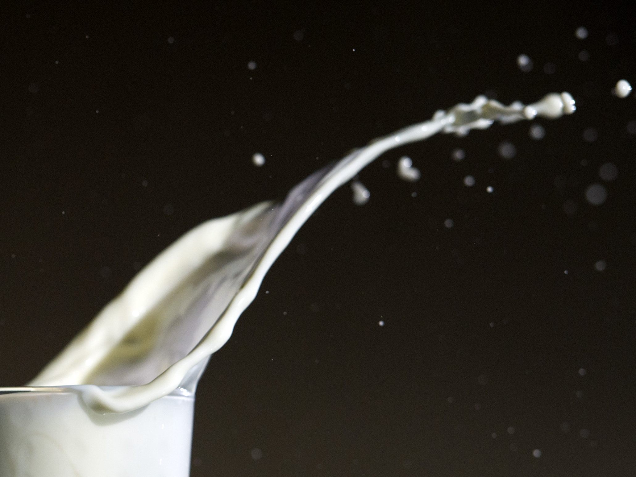 Welchen Hintergrund hat der Produktrückruf der Käserei Gloggnitz vom Freitag wegen einer Kontamination mit Listeria monocytogenes?