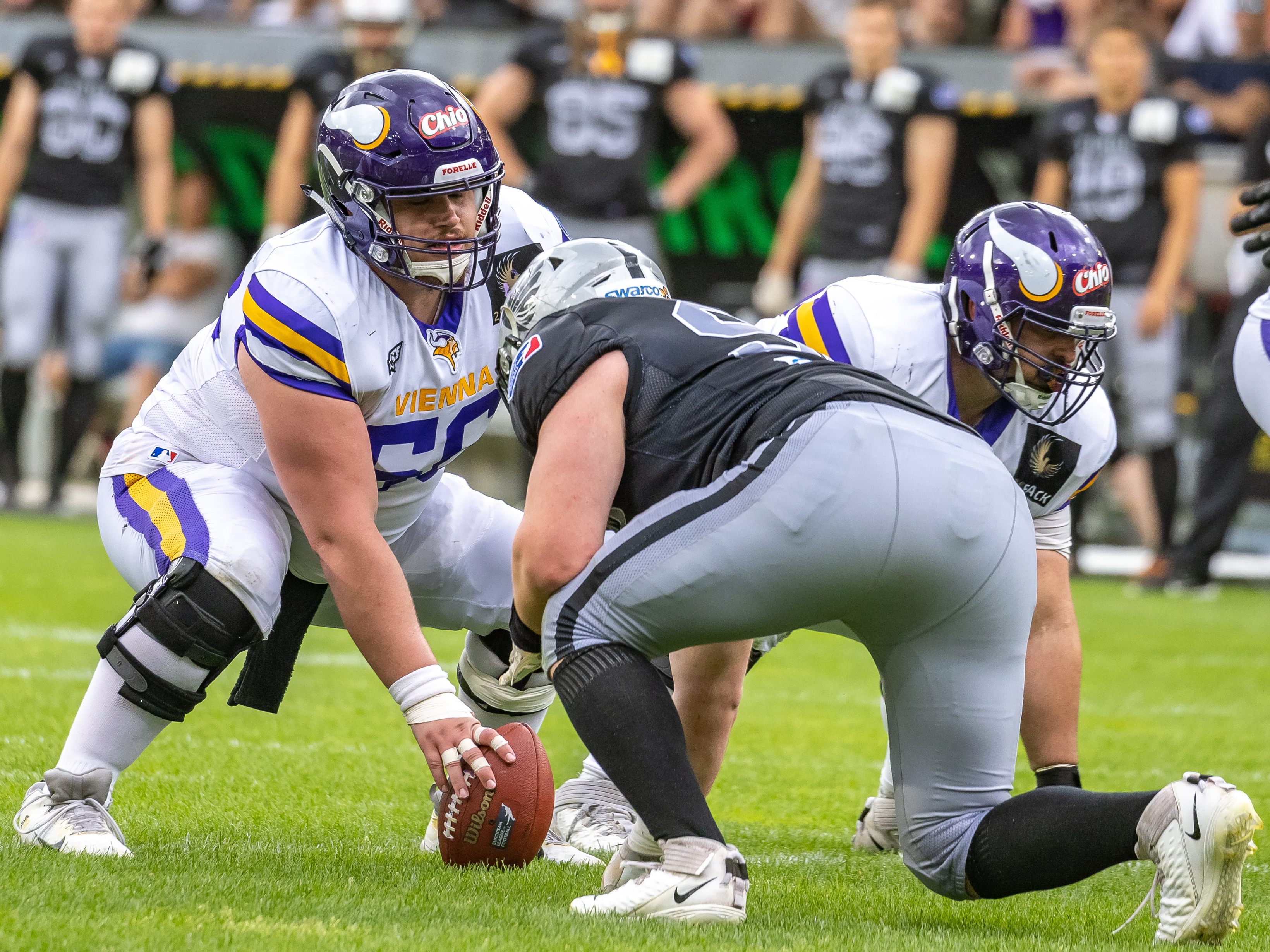 Die Vienna Vikings sind auf Stadionsuche für das ELF-Halbfinale. Die Vienna Vikings sind auf Stadionsuche für das ELF-Halbfinale.