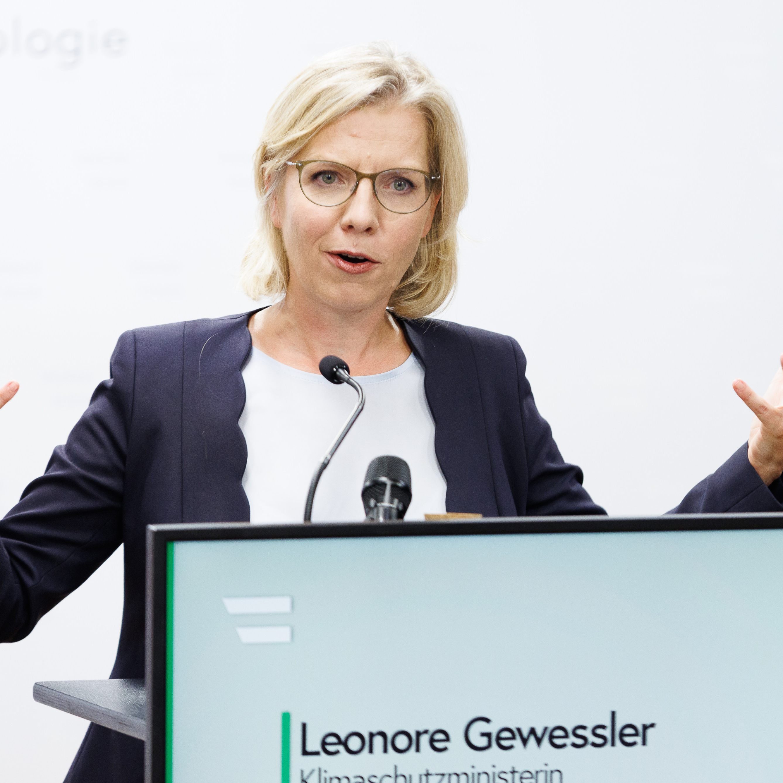 Laut Energieministerin Leonore Gewessler (Grüne) könne Österreich derzeit zum EU-Preisdeckel für Importer von russischem Gas nicht zustimmen.