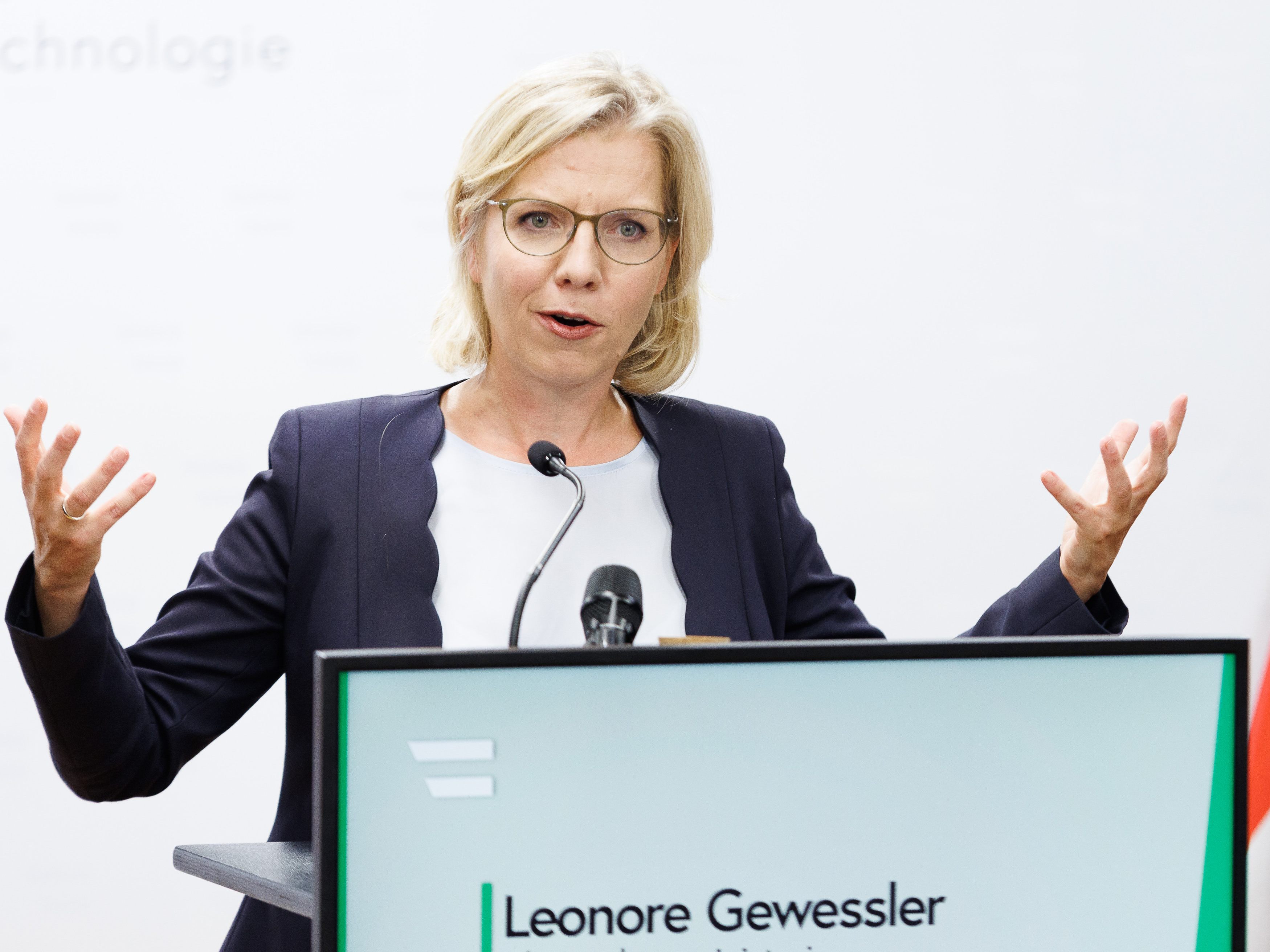 Laut Energieministerin Leonore Gewessler (Grüne) könne Österreich derzeit zum EU-Preisdeckel für Importer von russischem Gas nicht zustimmen.
