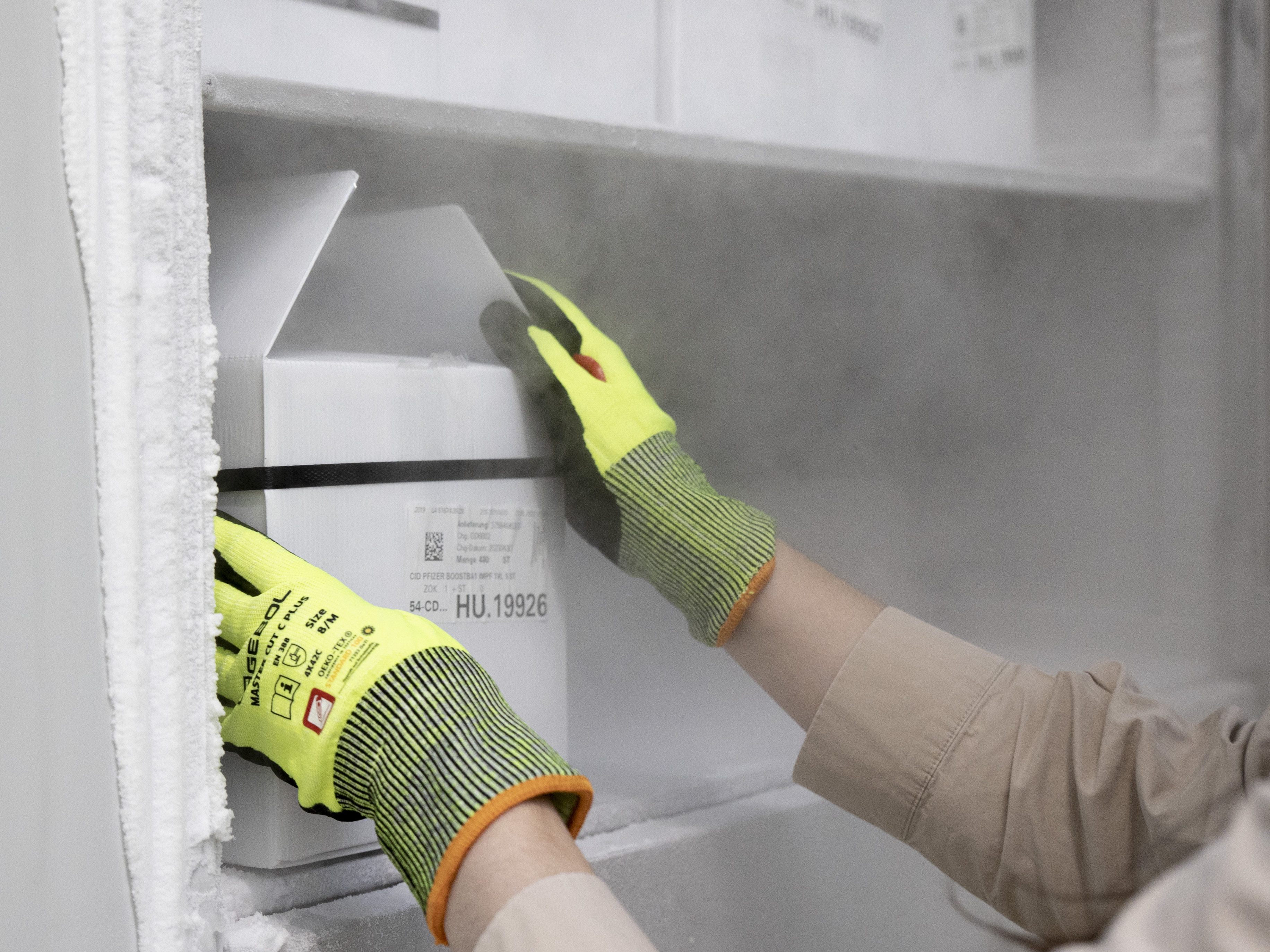 Der angepasste Impfstoff wird ab dem 13. September in die Bundesländer ausgeliefert.