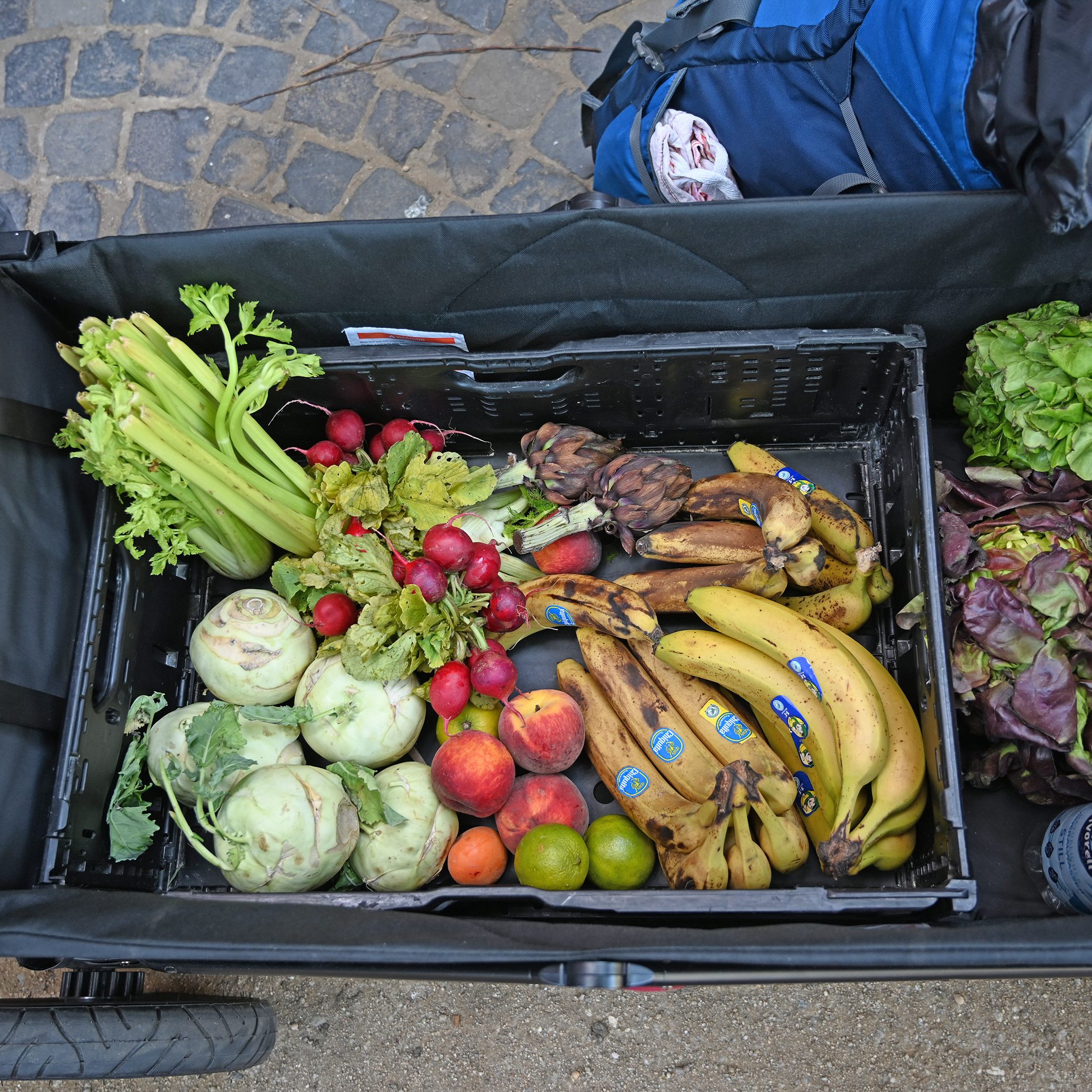 WWF Österreich und Too Good To Go fordern von der Regierung Maßnahmen gegen Lebensmittelverschwendung.