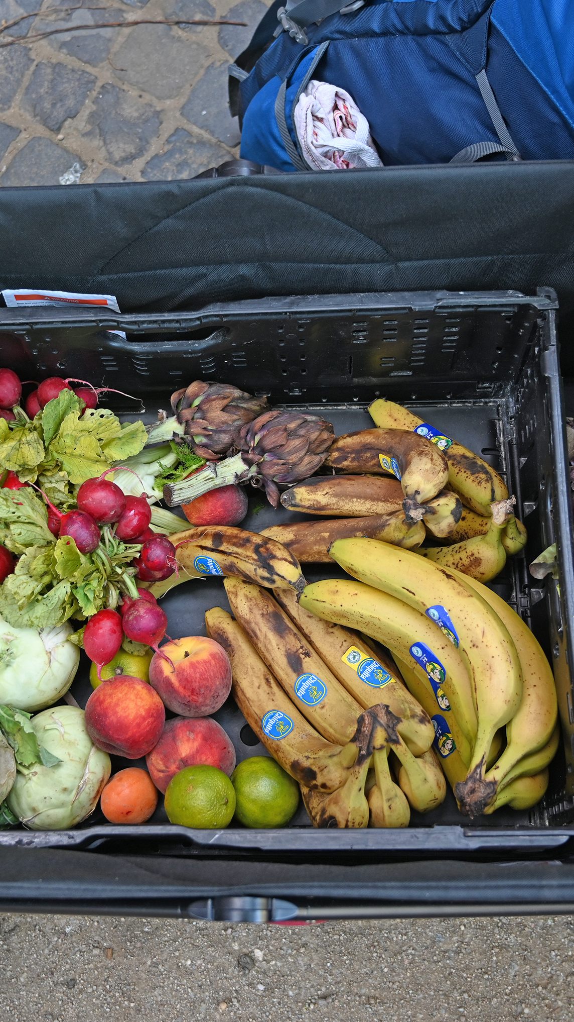 WWF Österreich und Too Good To Go fordern von der Regierung Maßnahmen gegen Lebensmittelverschwendung.