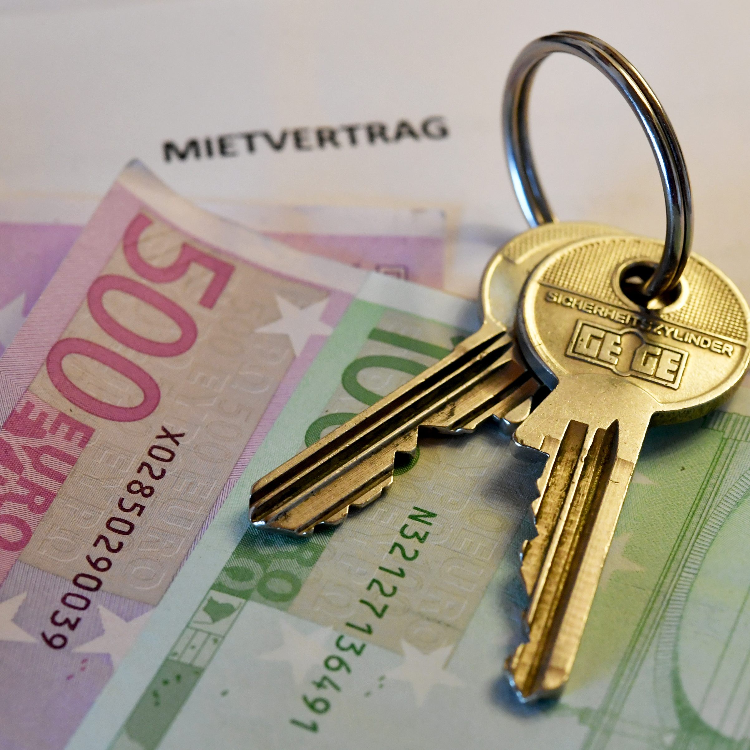 Wohnbauunternehmen in Österreich fordern ein Delogierungsverbot aufgrund der Teuerung.