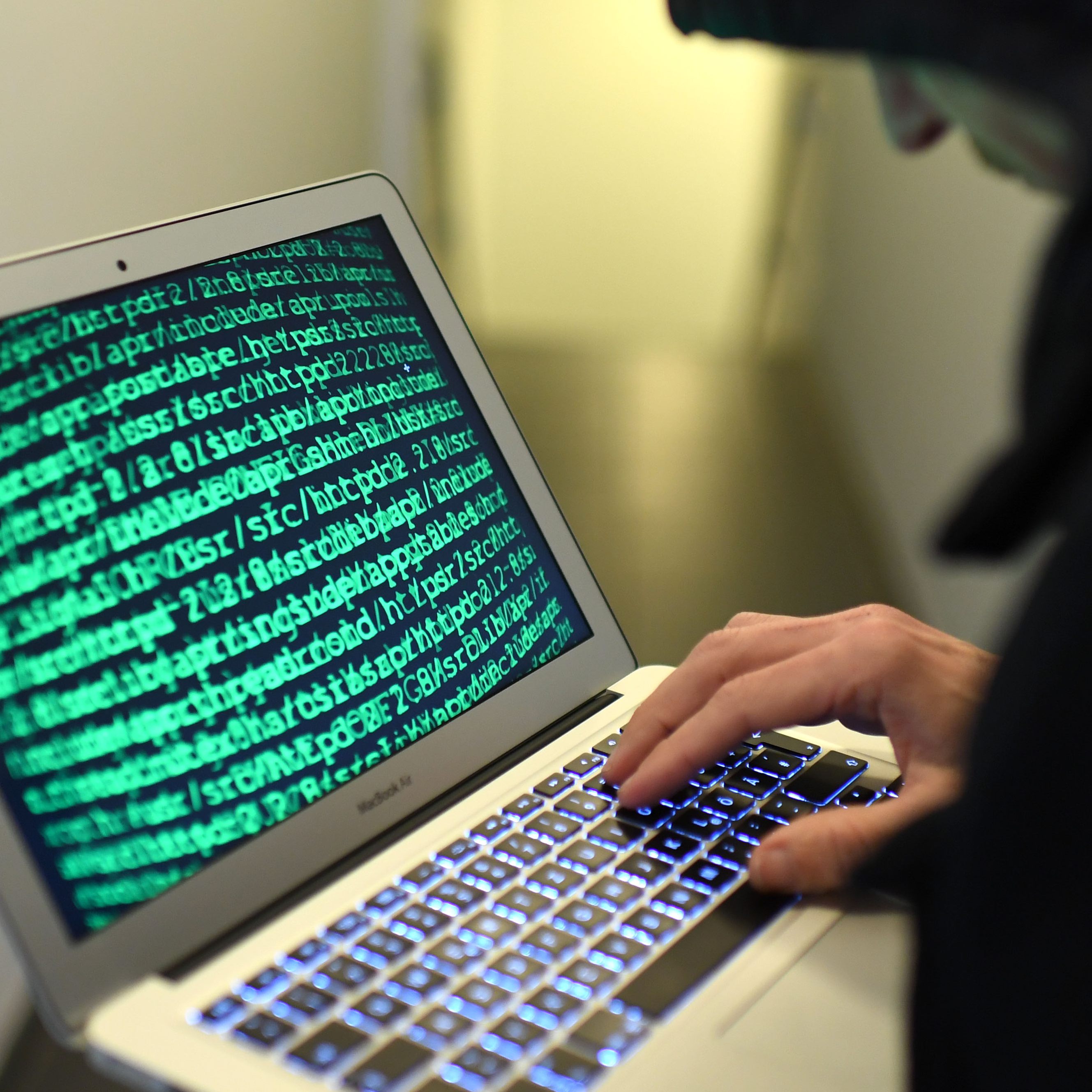 Staatsanwälte in Österreich fordern mehr Personal zur Bekämpfung von Cyberkriminalität.