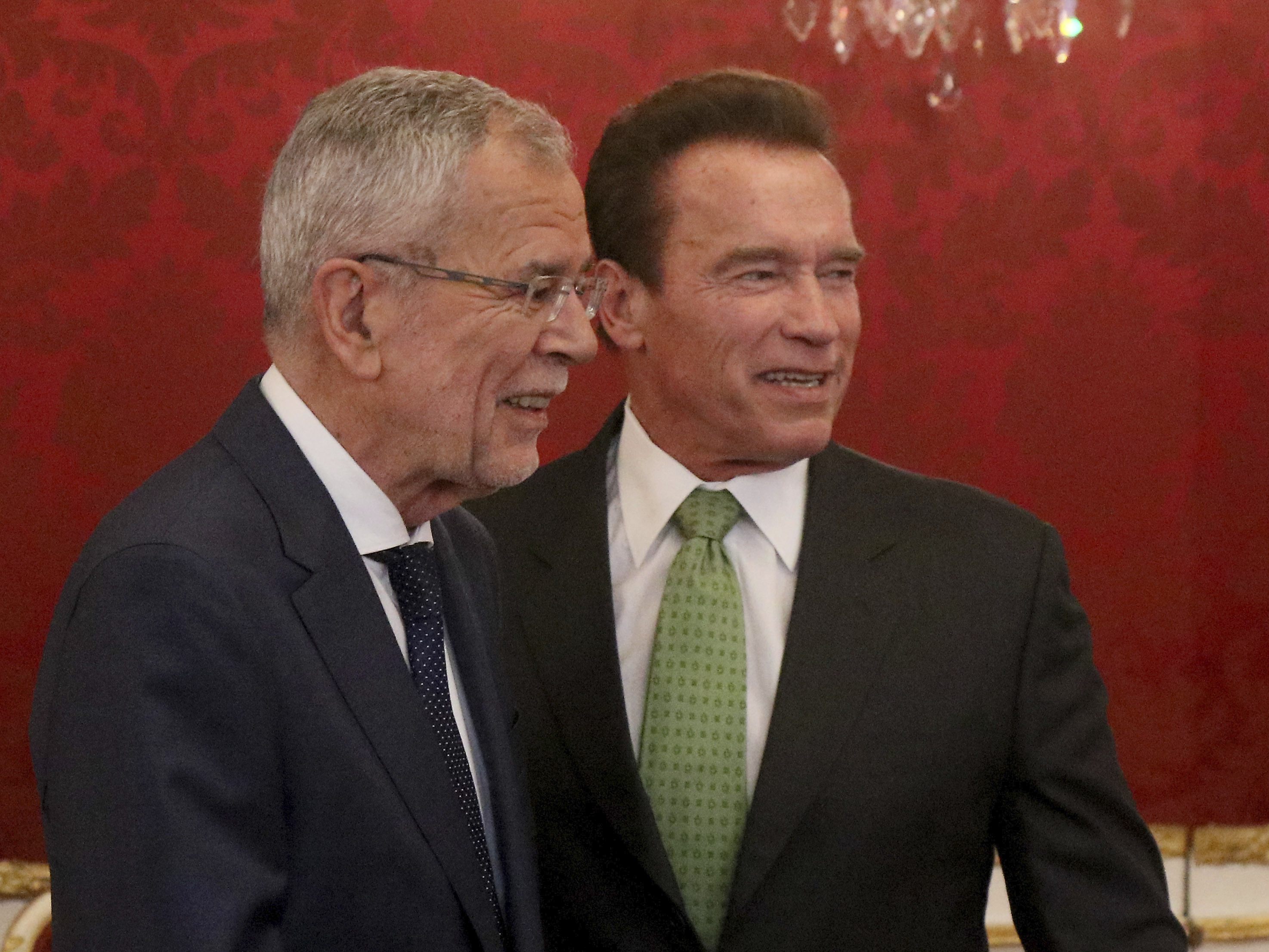 Schwarzenegger unterstützt Van der Bellen im Wahlkampf. Schwarzenegger unterstützt Van der Bellen im Wahlkampf.