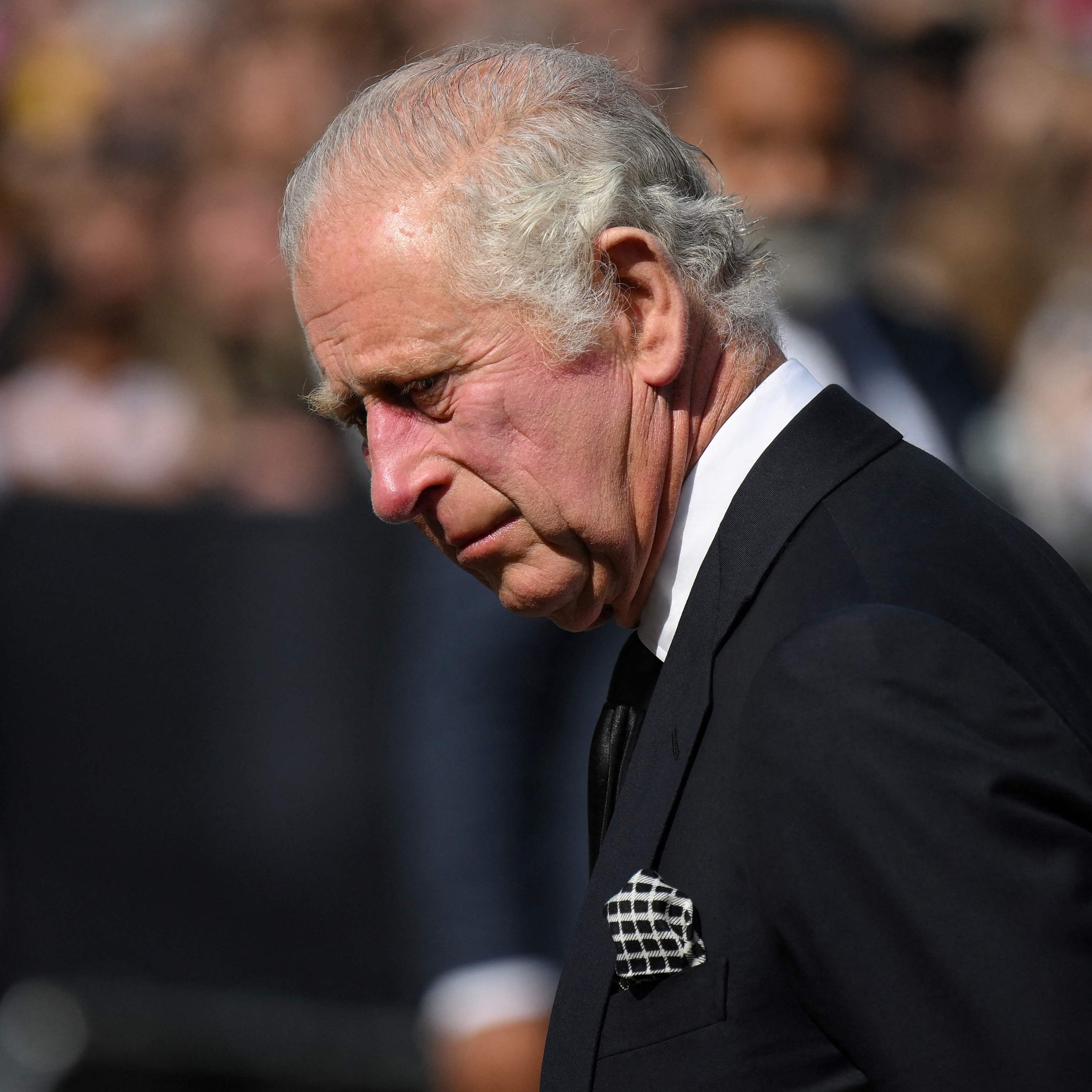 Der britische Monarch - seit 8. September 2022 Charles III. - hat vor allem repräsentative Rollen.