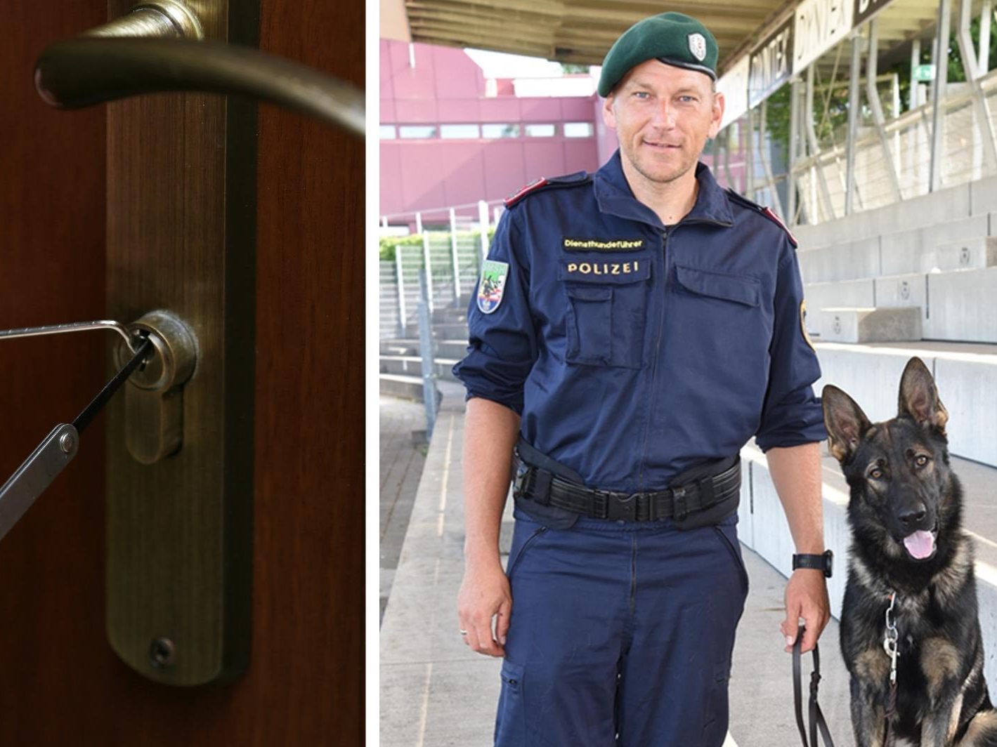 Polizeidiensthund stellt Einbrecher.