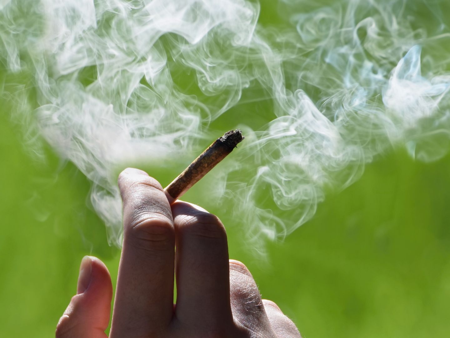 Haben Sie schon einmal gekifft?