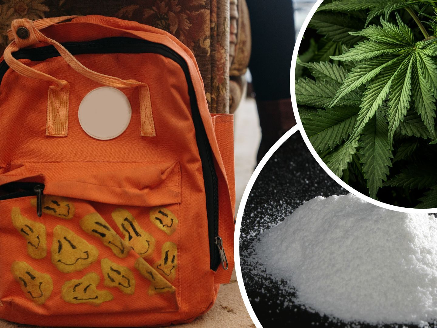 Die Beamten staunten nicht schlecht als sie den Rucksack öffneten. Darin befanden sich verschiedene Suchtmittel.