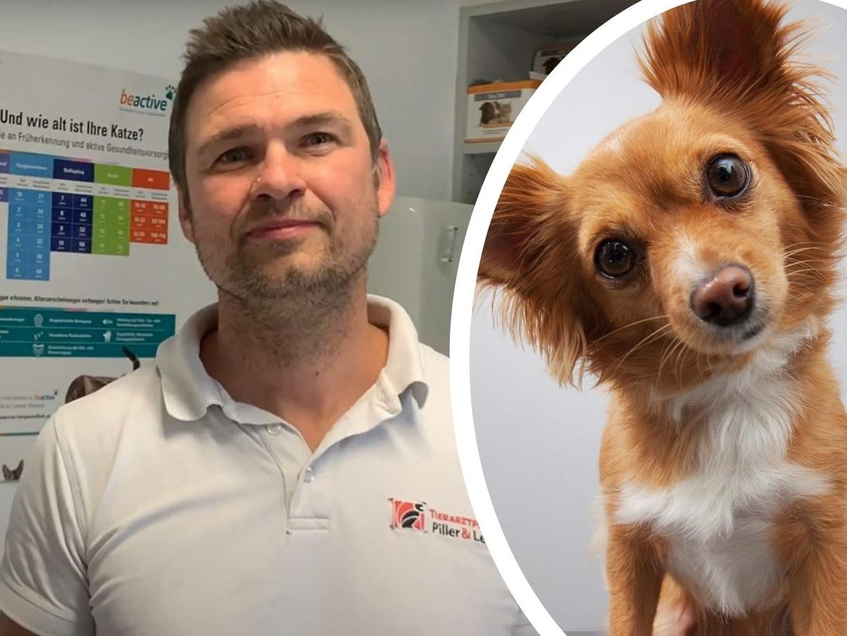 Auch unsere Vierbeiner sind von der Teuerung betroffen. Auch unsere Vierbeiner sind von der Teuerung betroffen.