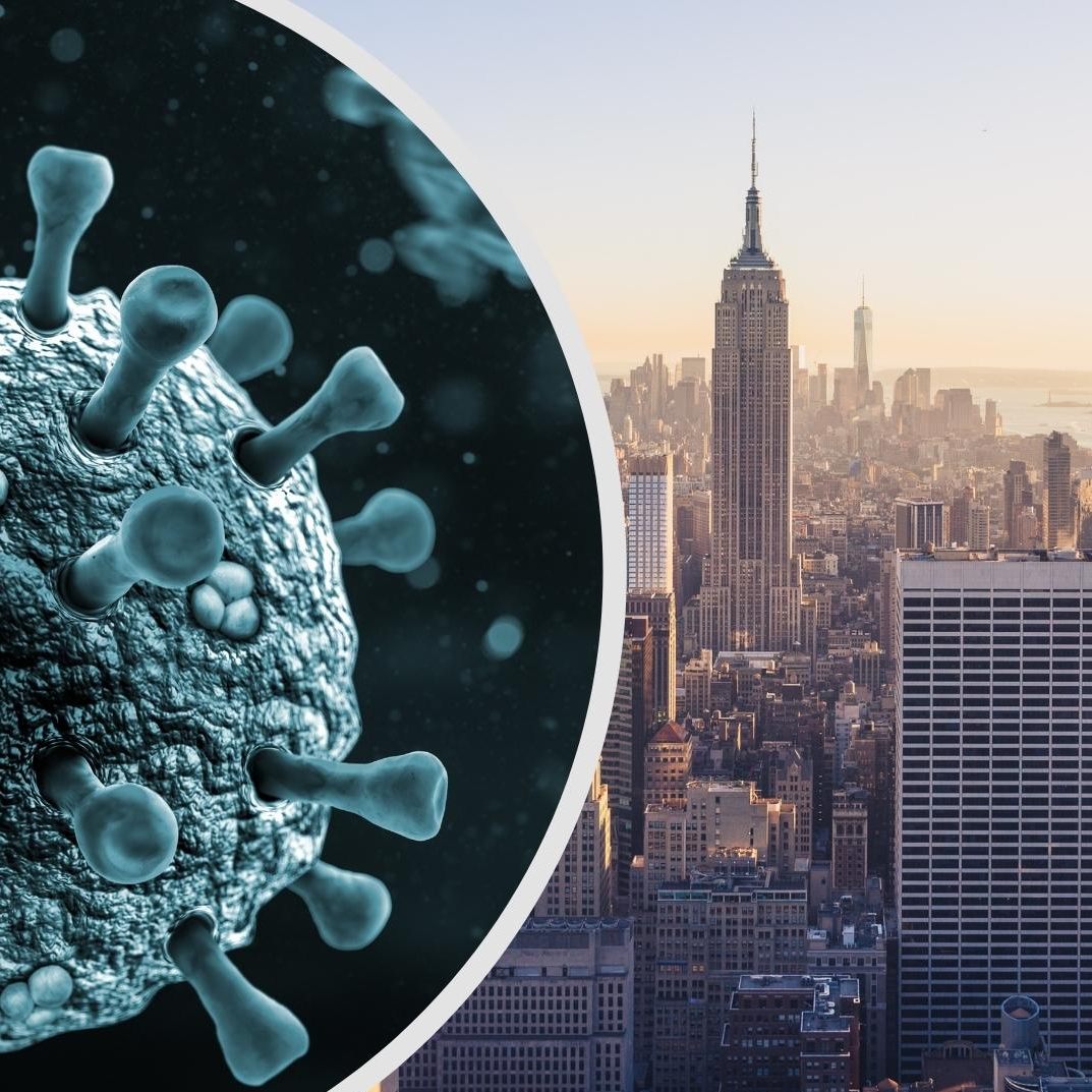 In New York schreckt ein vermeintlich ausgerottetes Virus die Menschen auf.