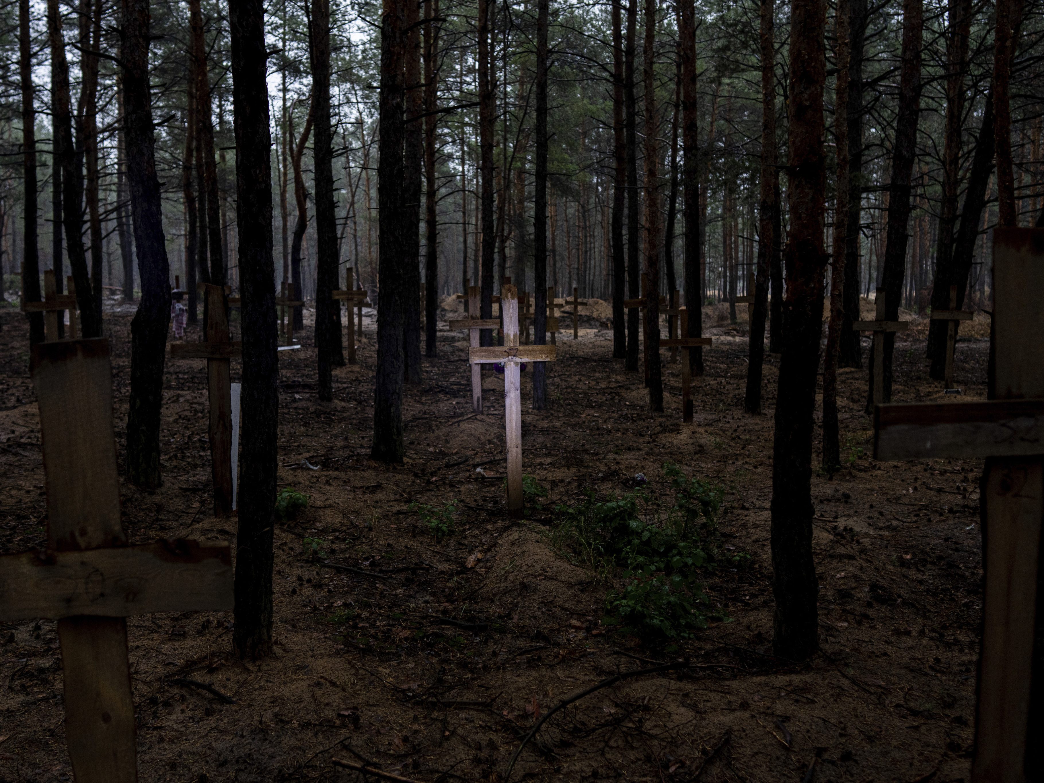 Mehr als 440 Menschen wurden in einem Wald bestattet. Mehr als 440 Menschen wurden in einem Wald bestattet.