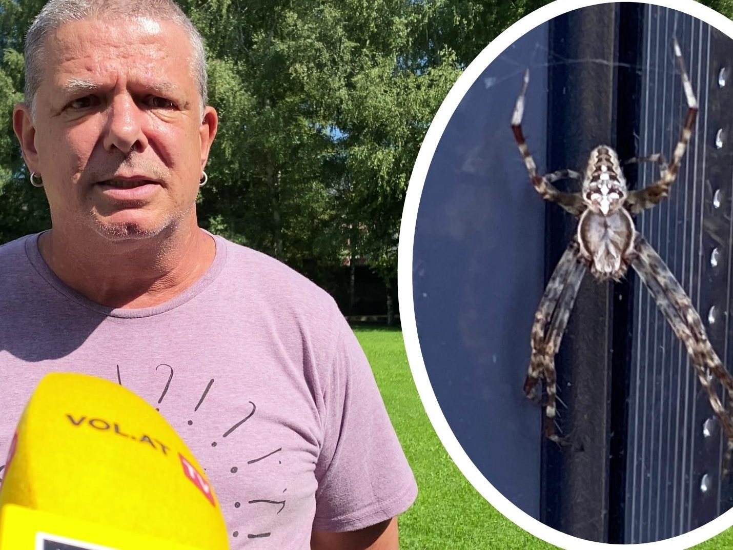 Erwartet uns im Herbst eine Spinnen-Invasion?