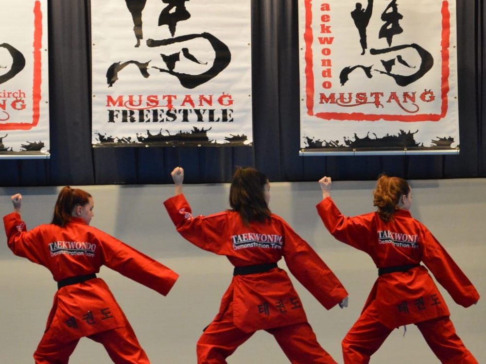 Taekwondo Tag der offenen Tür
