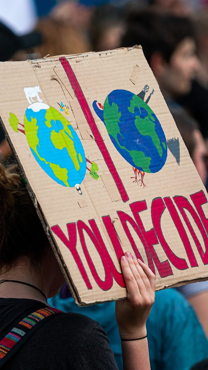Für Fridays for Future Niederösterreich wird die Landtagswahl eine "Klimawahl".