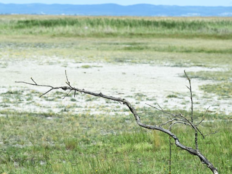 Der Neusiedler See ist schon in der Vergangenheit öfter ausgetrocknet.