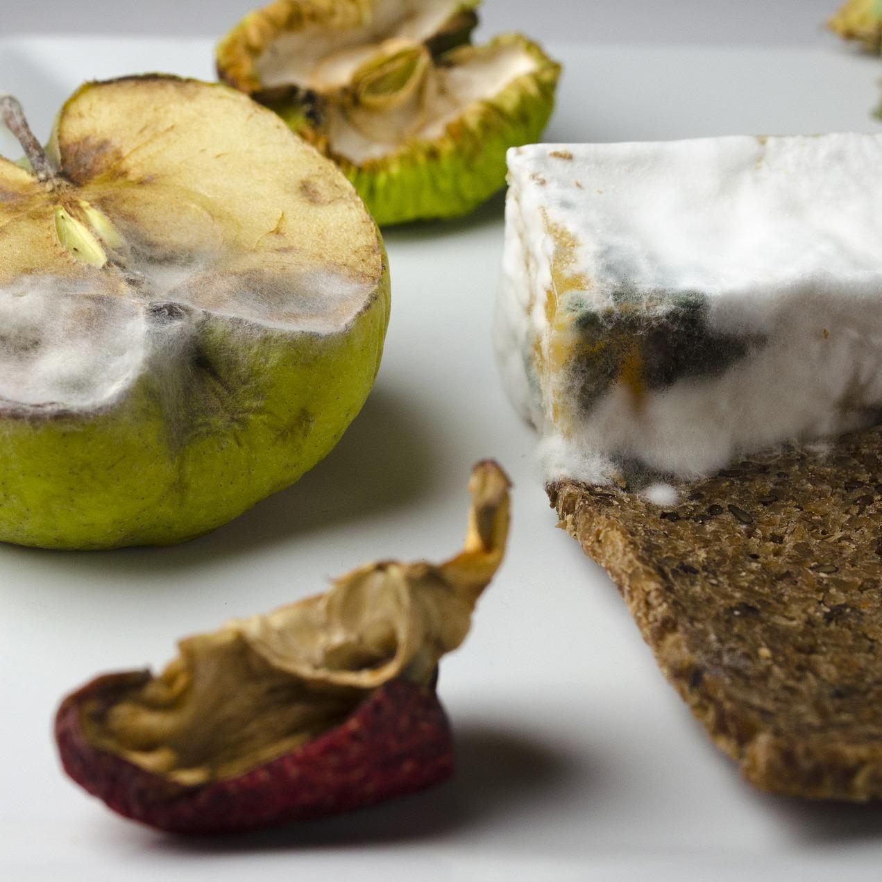 Nicht alle Lebensmittel müssen bei Schimmelbefall gleich in den Müll.