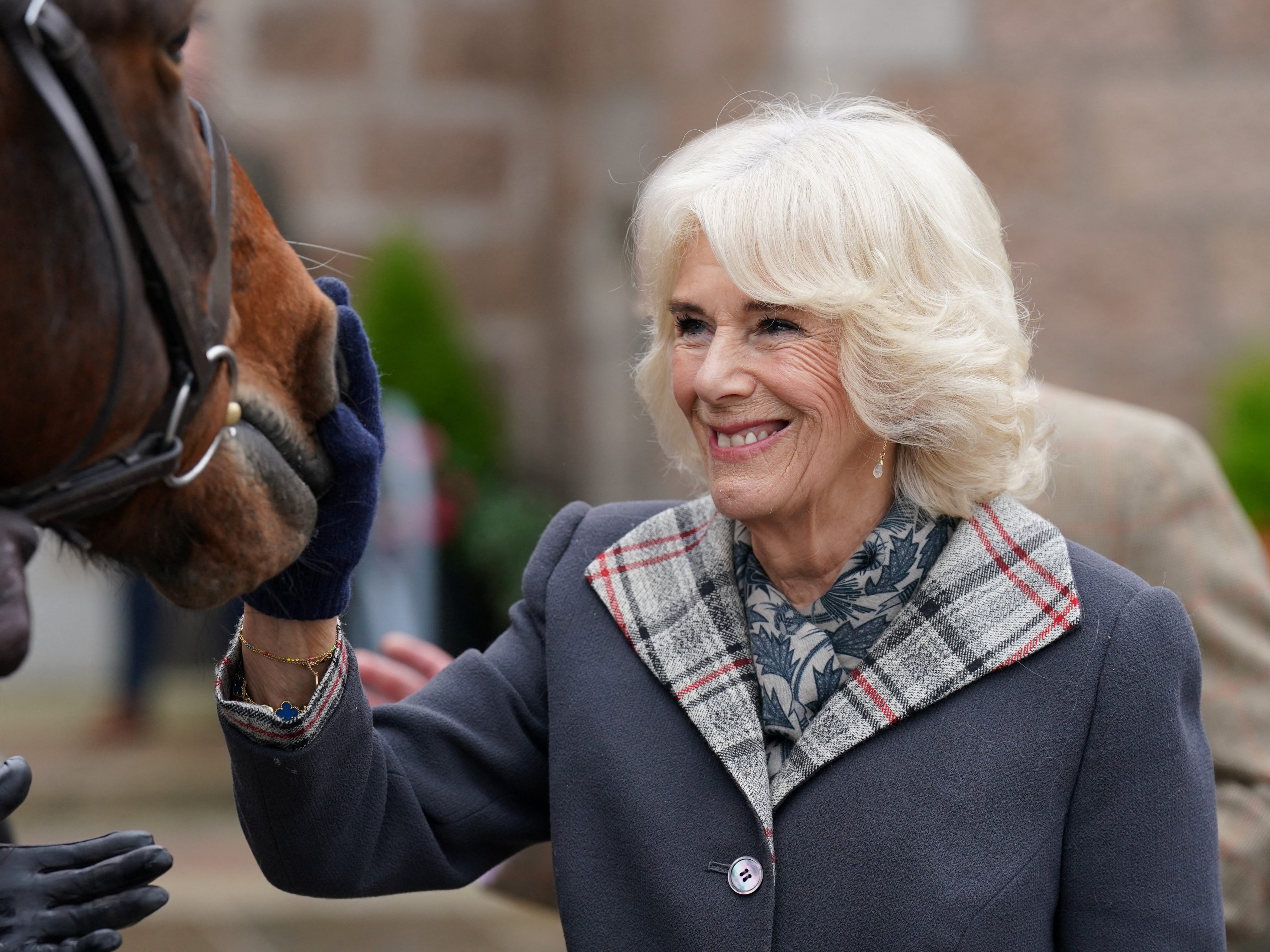 Queen Consort Camilla soll mit einem "Game of Thrones"-Darsteller entfernt verwandt sein. Queen Consort Camilla soll mit einem "Game of Thrones"-Darsteller entfernt verwandt sein.